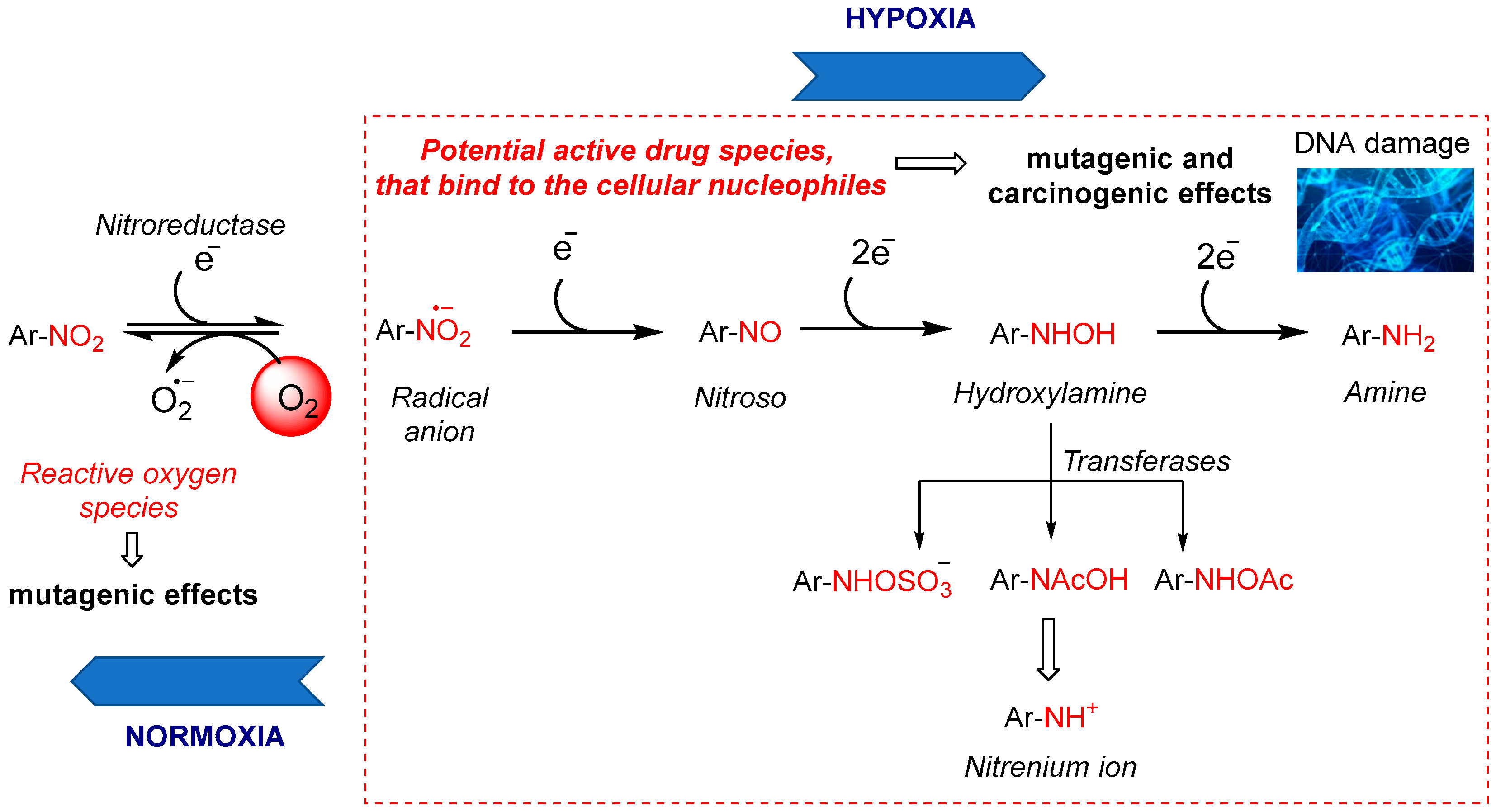 Molecules 29 03475 g002