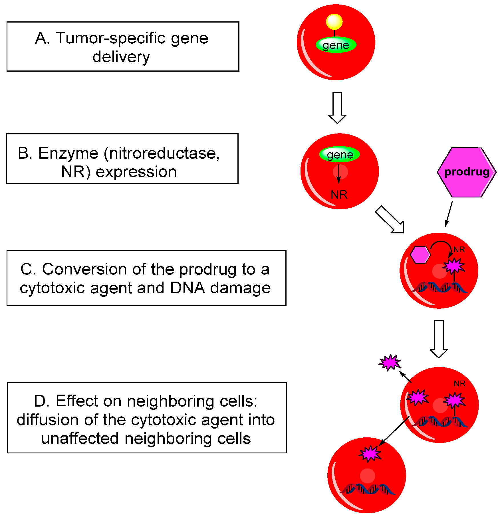 Molecules 29 03475 g003