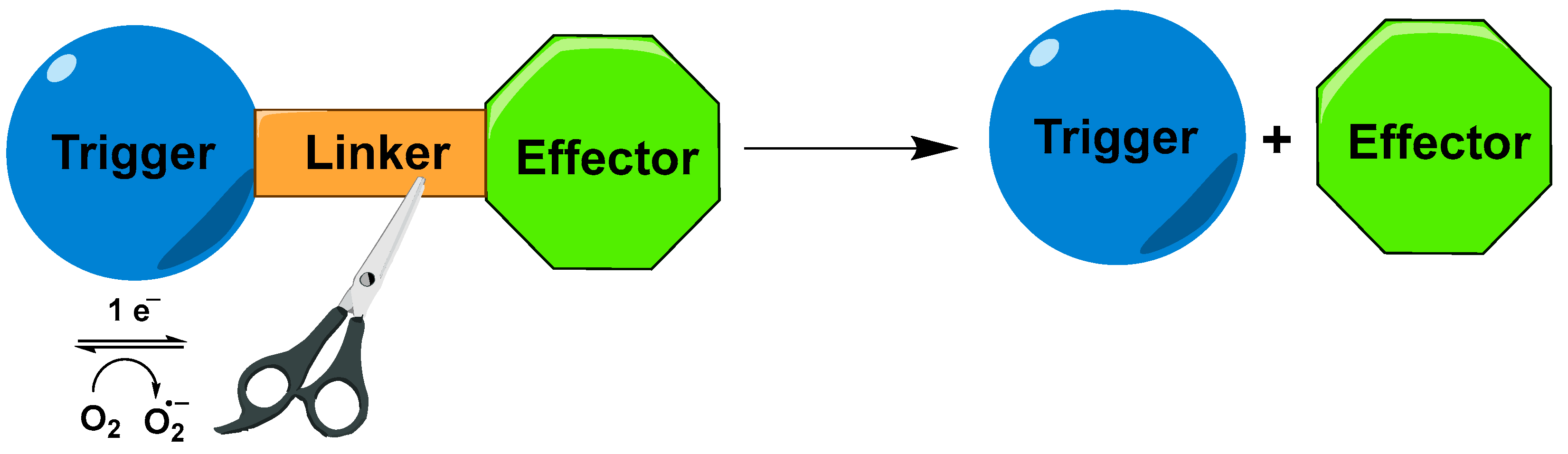 Molecules 29 03475 g006