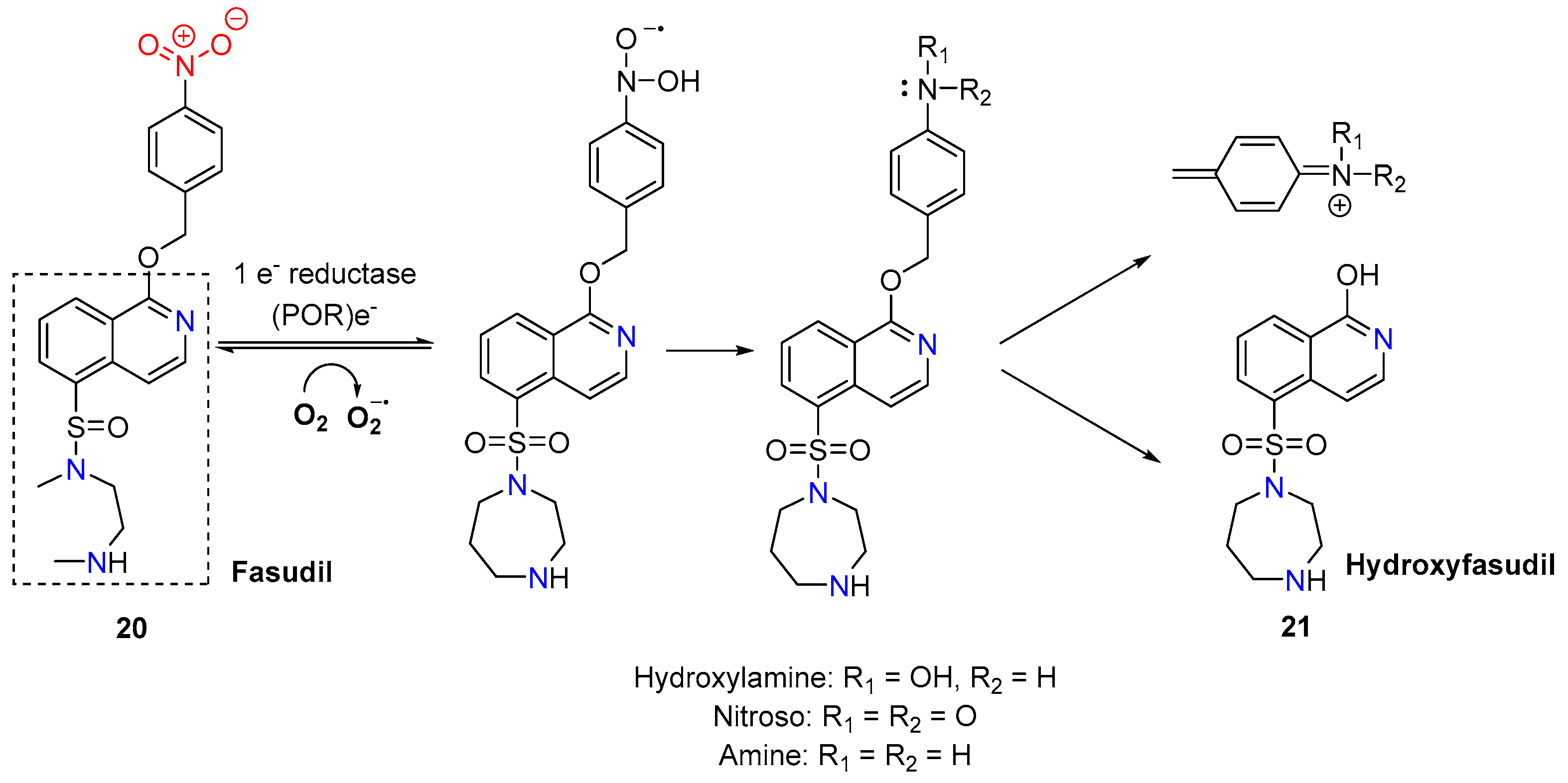 Molecules 29 03475 g007