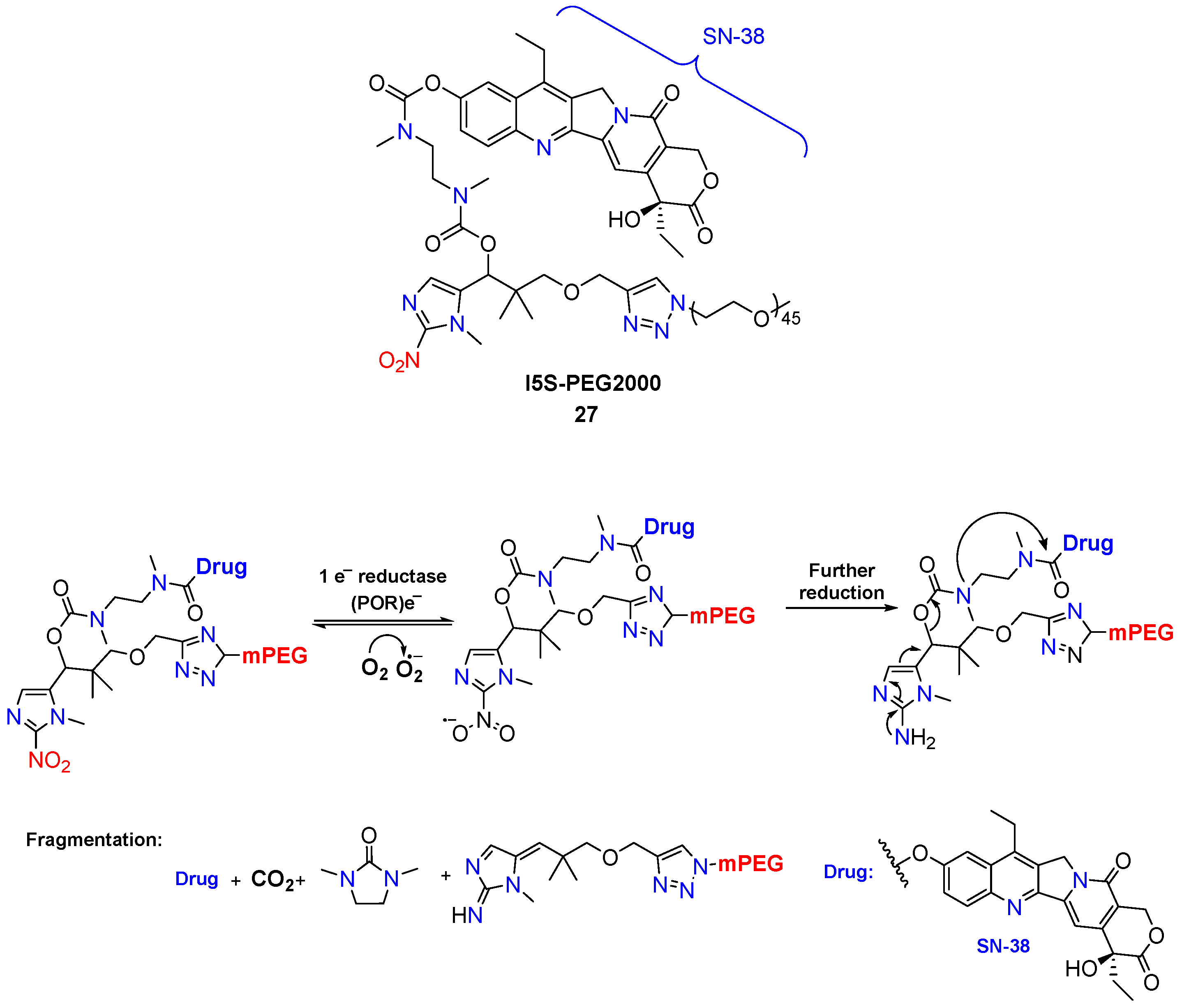 Molecules 29 03475 g012