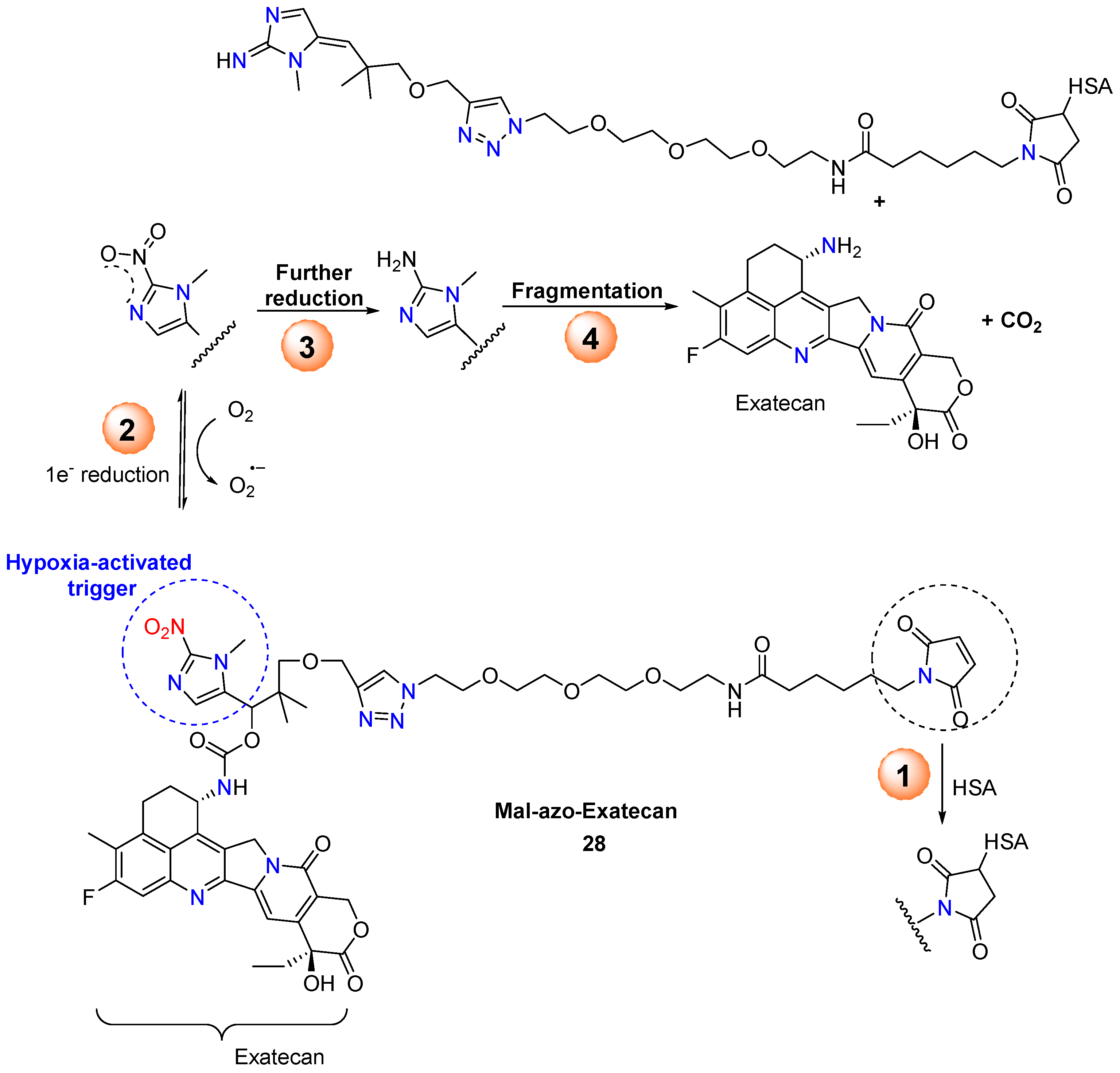 Molecules 29 03475 g013