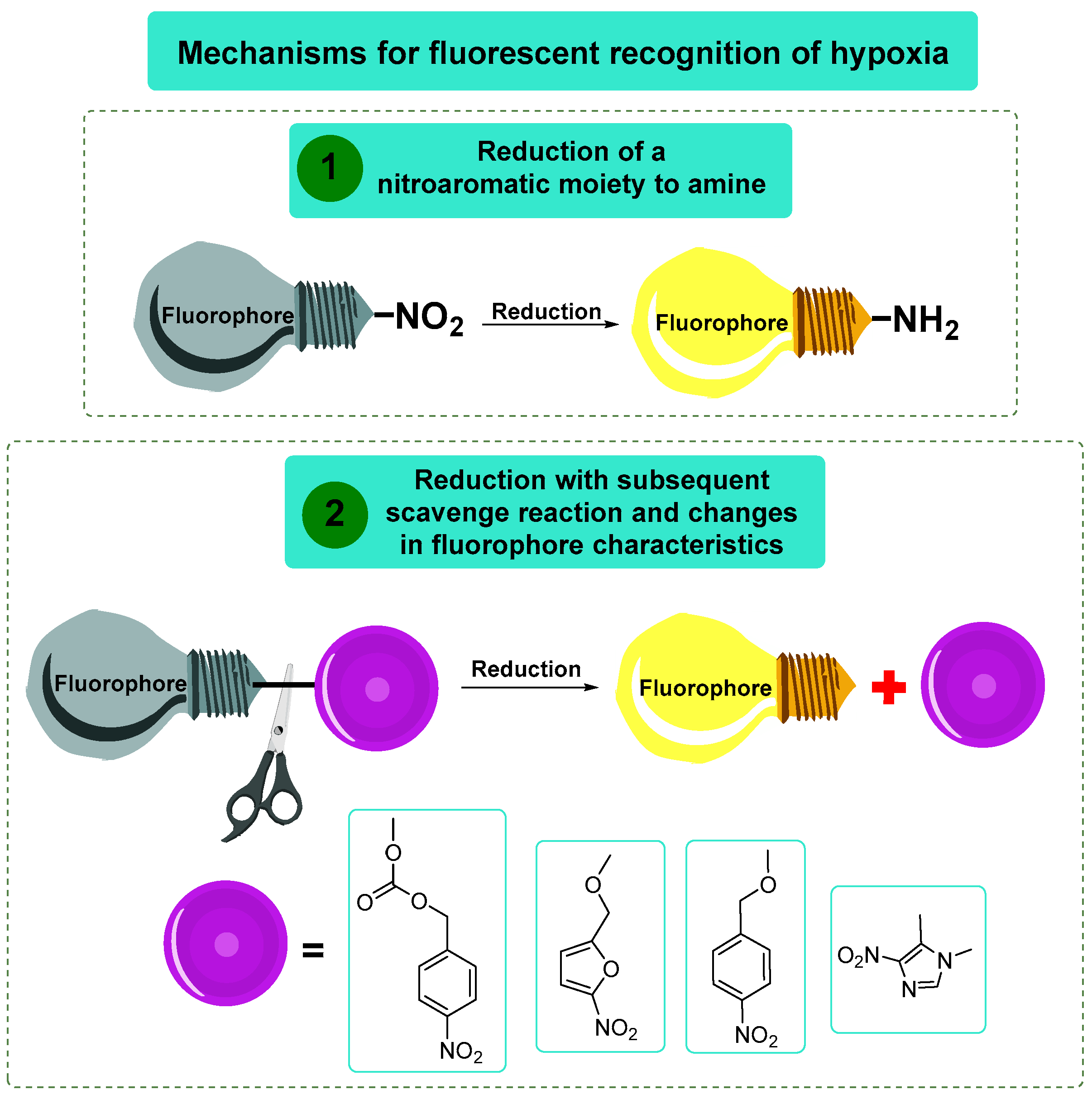 Molecules 29 03475 g016