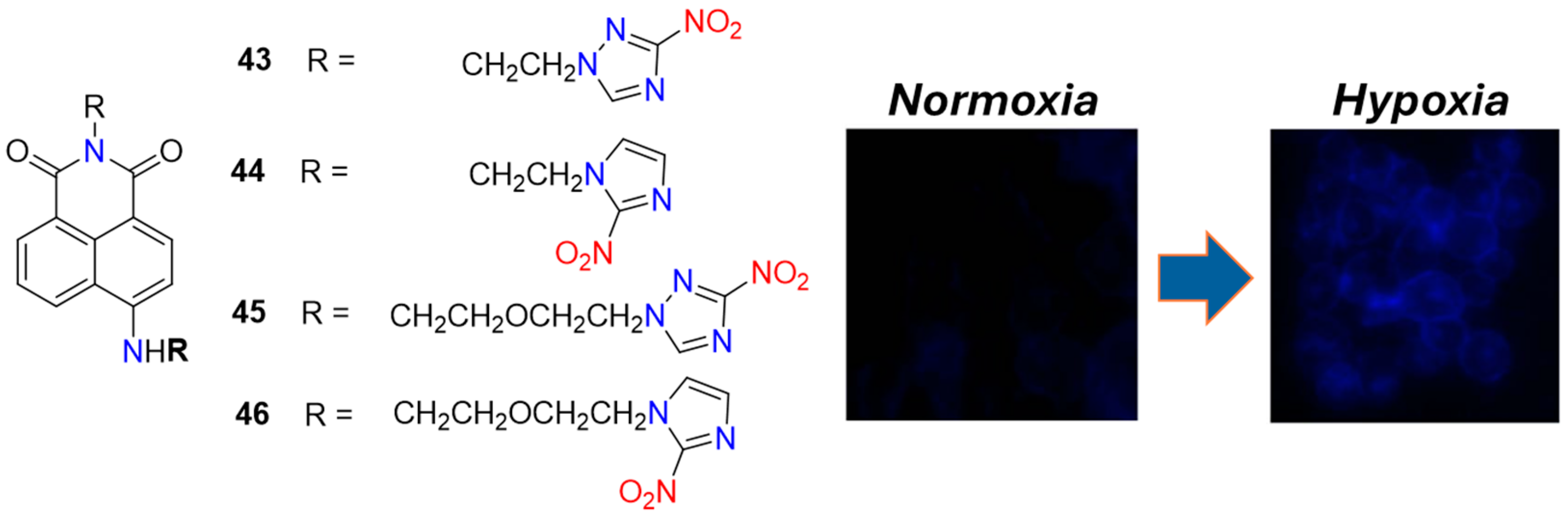 Molecules 29 03475 g019