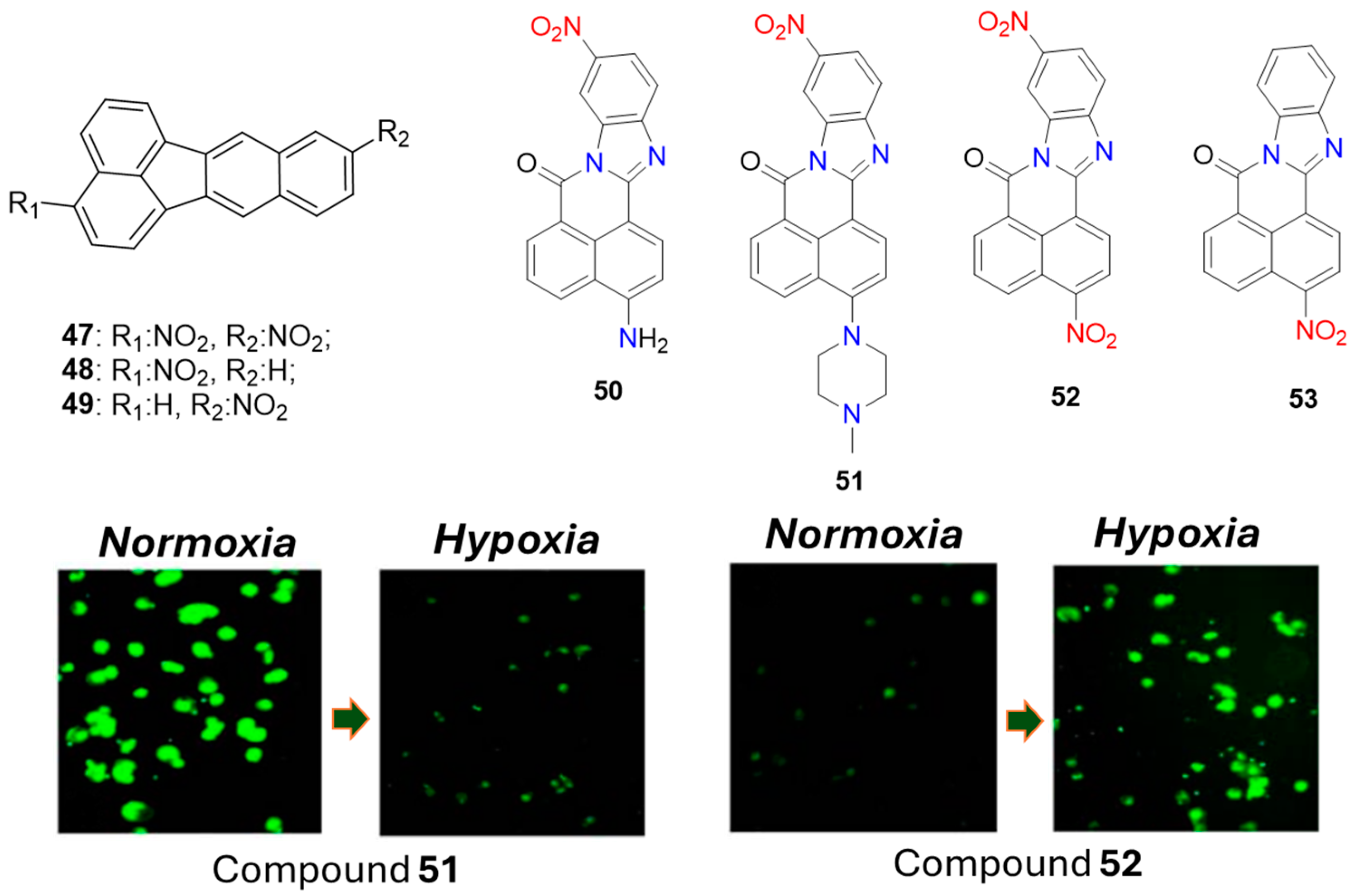 Molecules 29 03475 g020