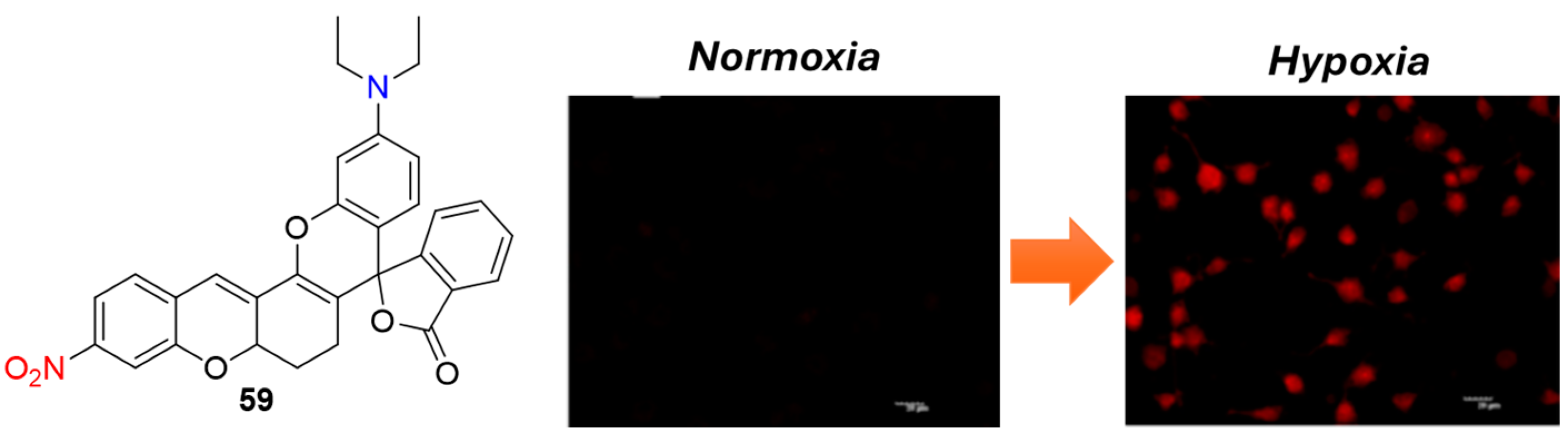 Molecules 29 03475 g024