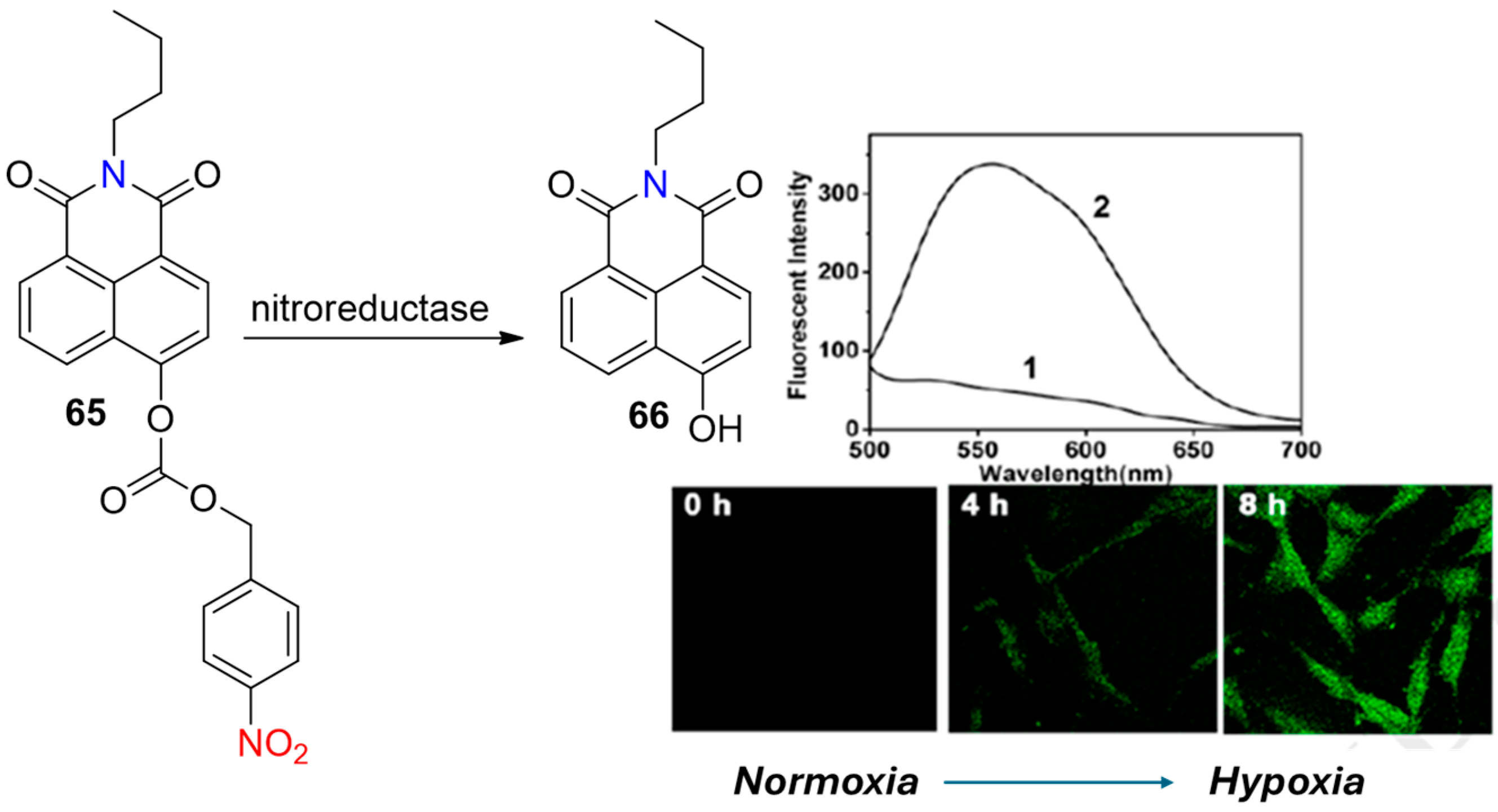 Molecules 29 03475 g027
