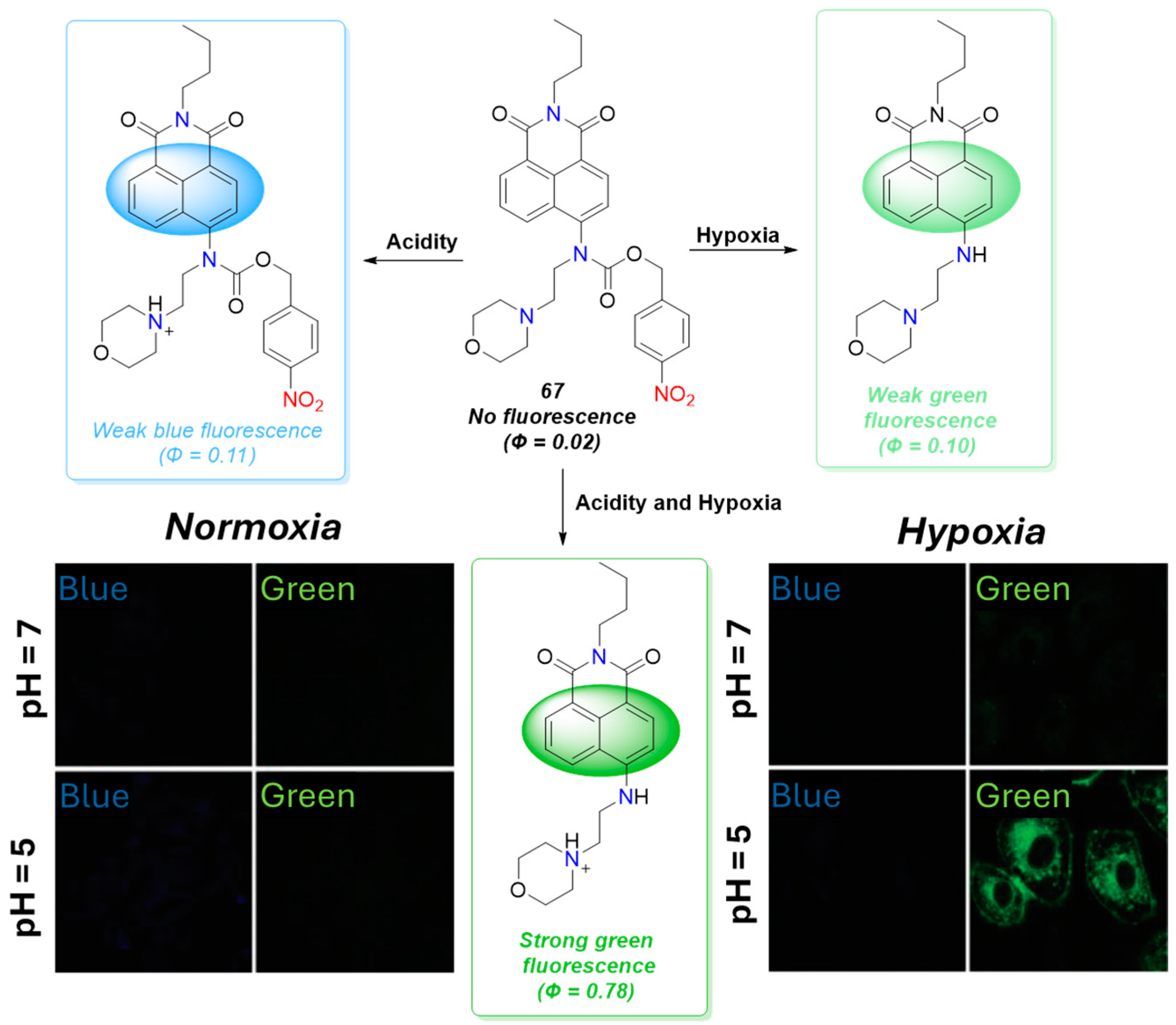 Molecules 29 03475 g028