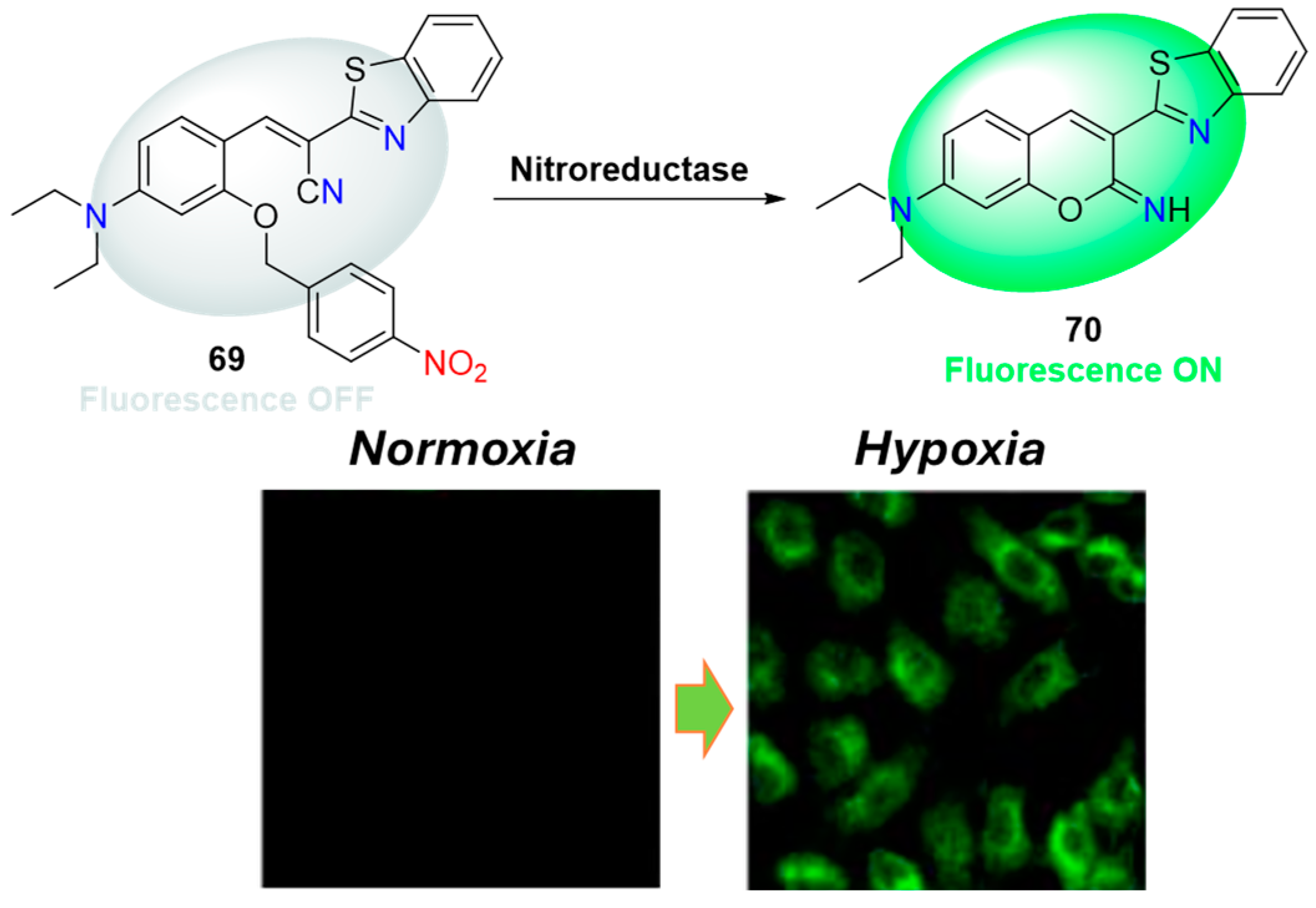 Molecules 29 03475 g030