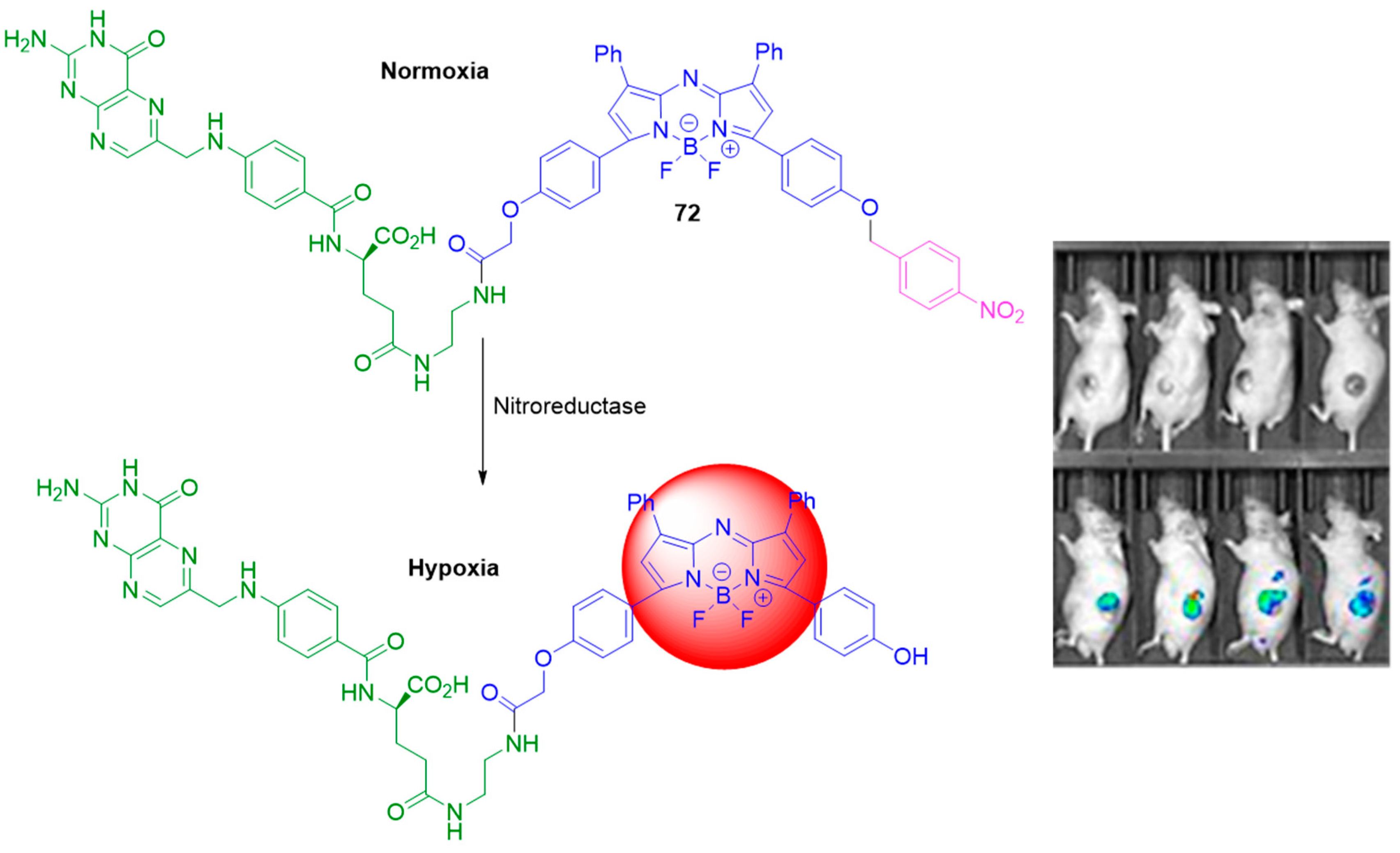 Molecules 29 03475 g032