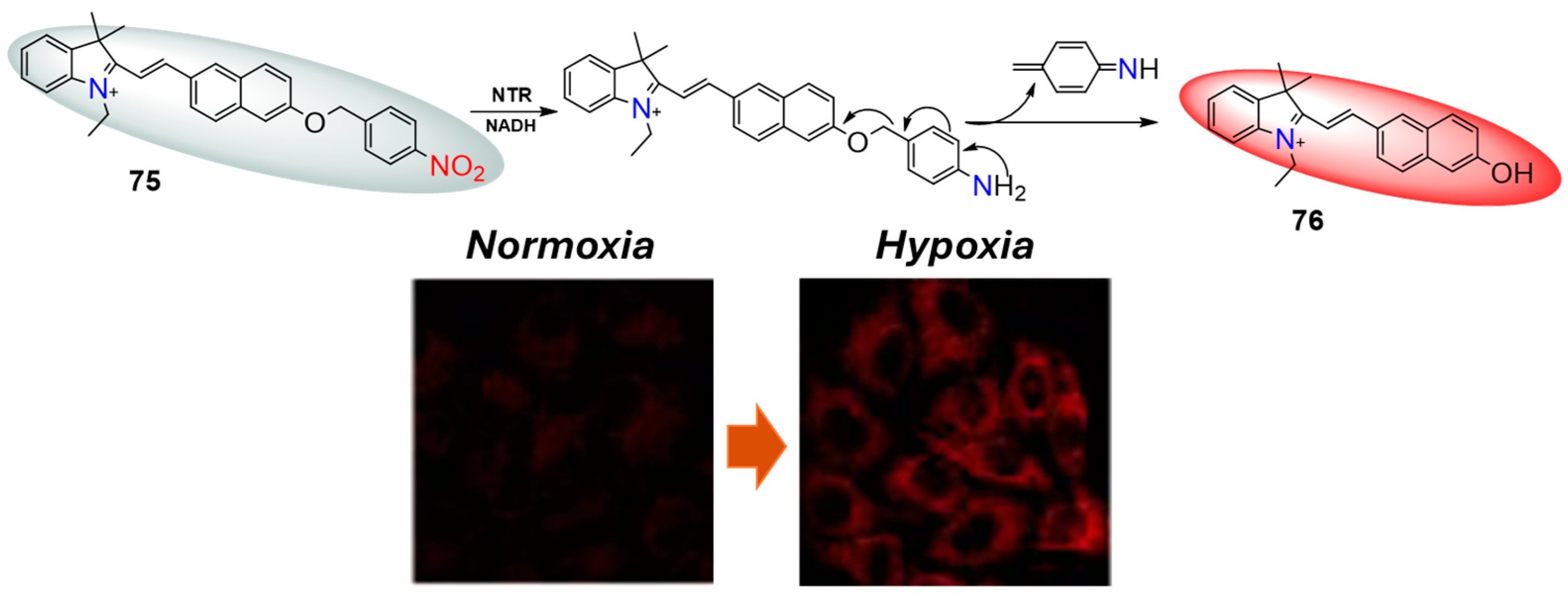 Molecules 29 03475 g034