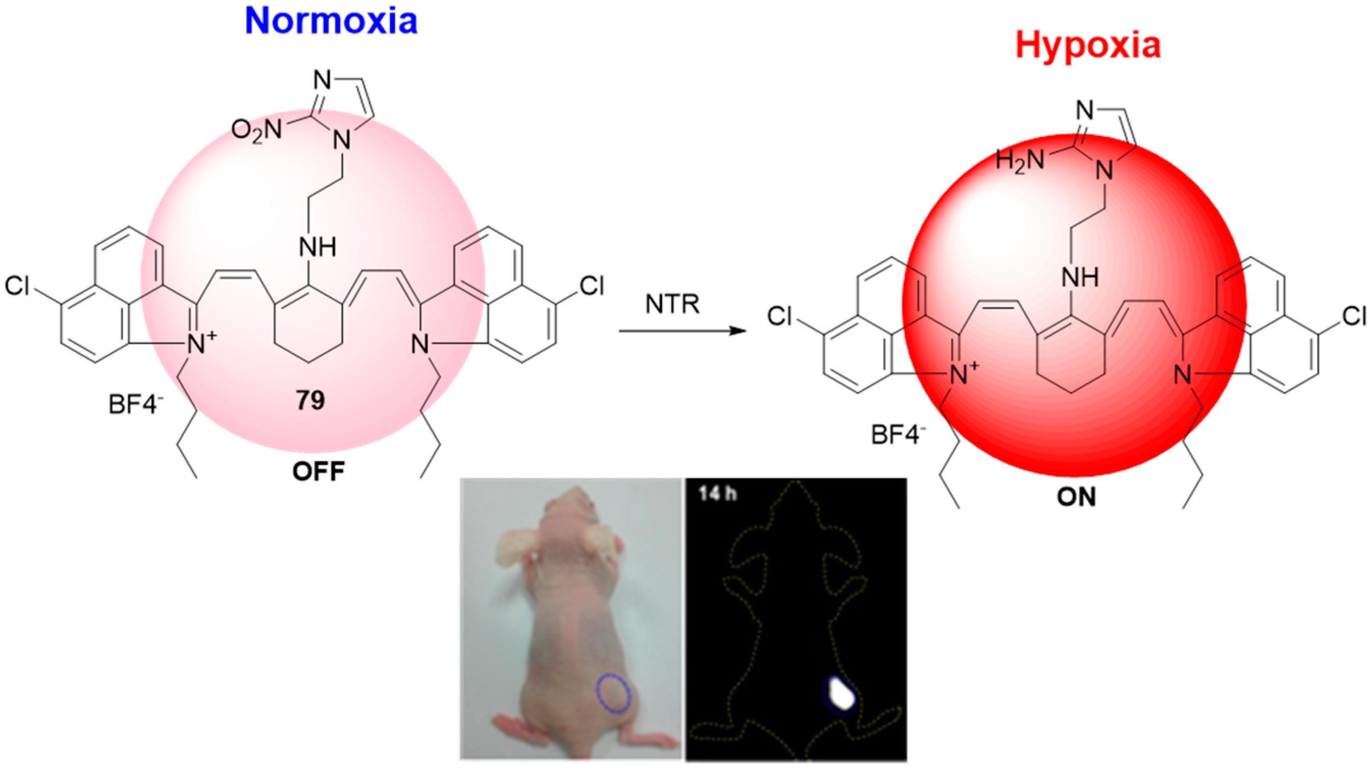 Molecules 29 03475 g037