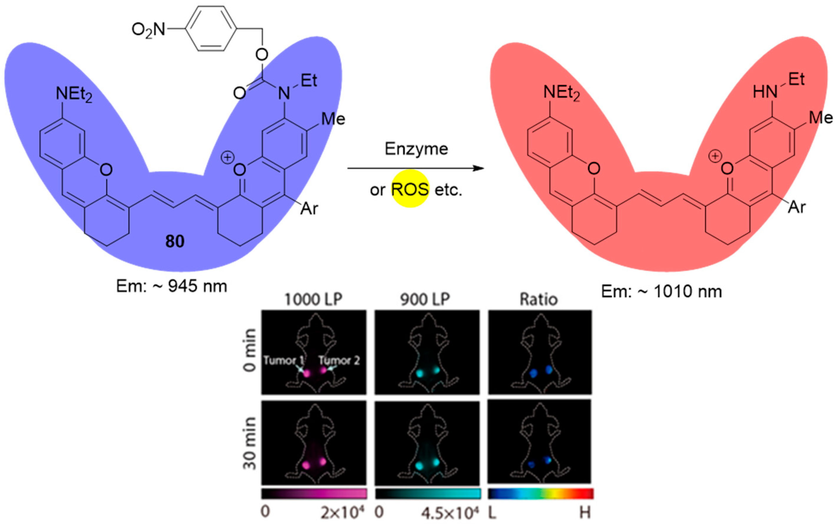 Molecules 29 03475 g038