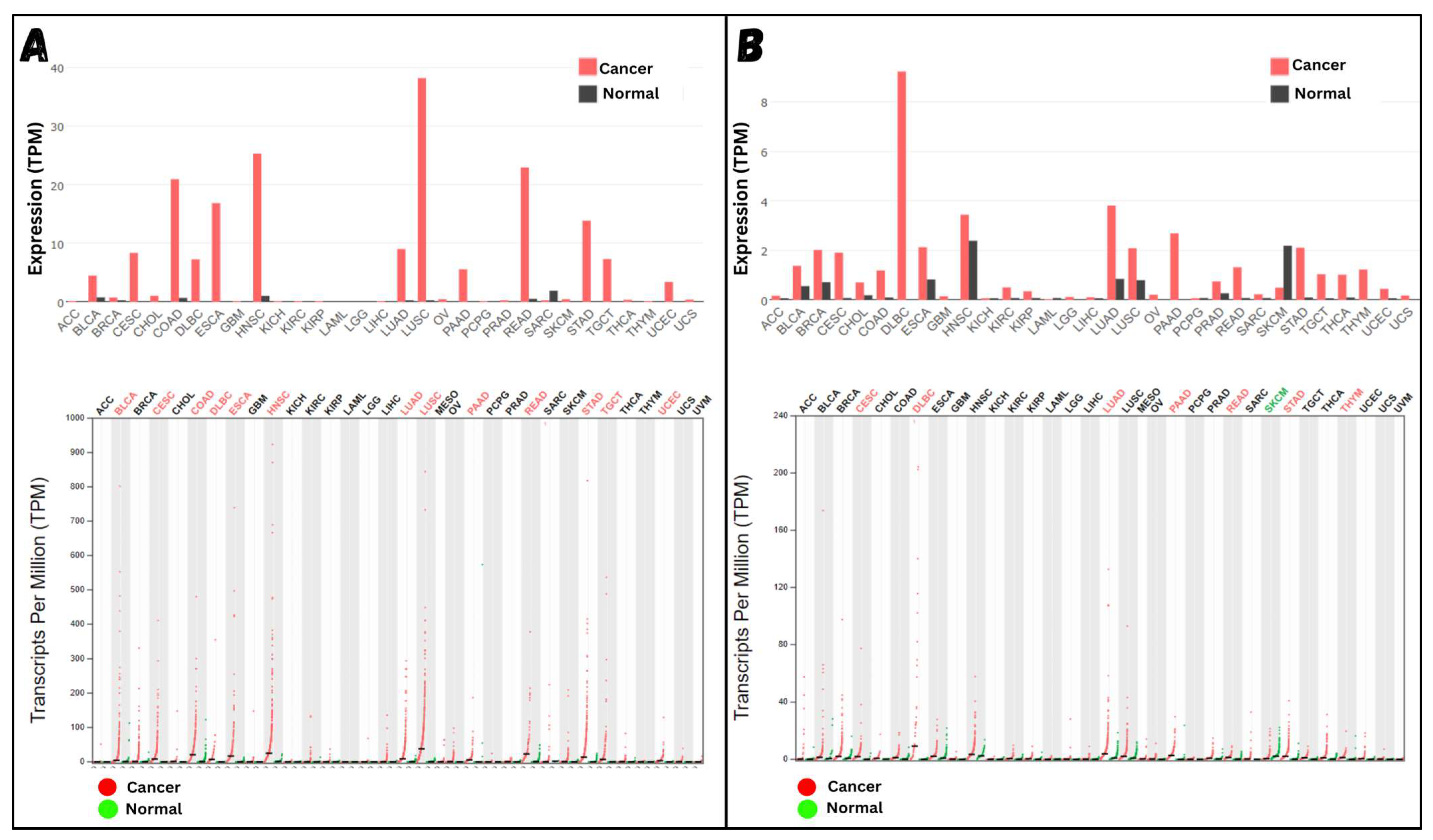 Molecules 29 03476 g006