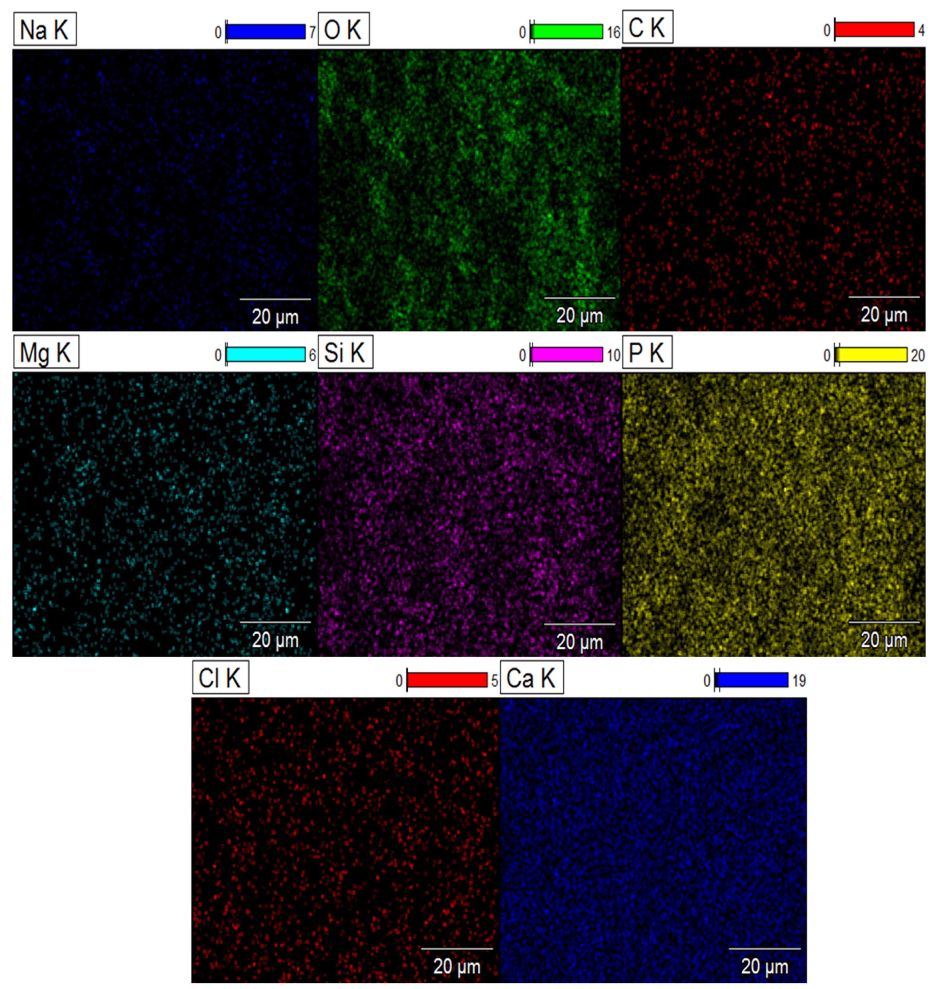 Molecules 29 03483 g010