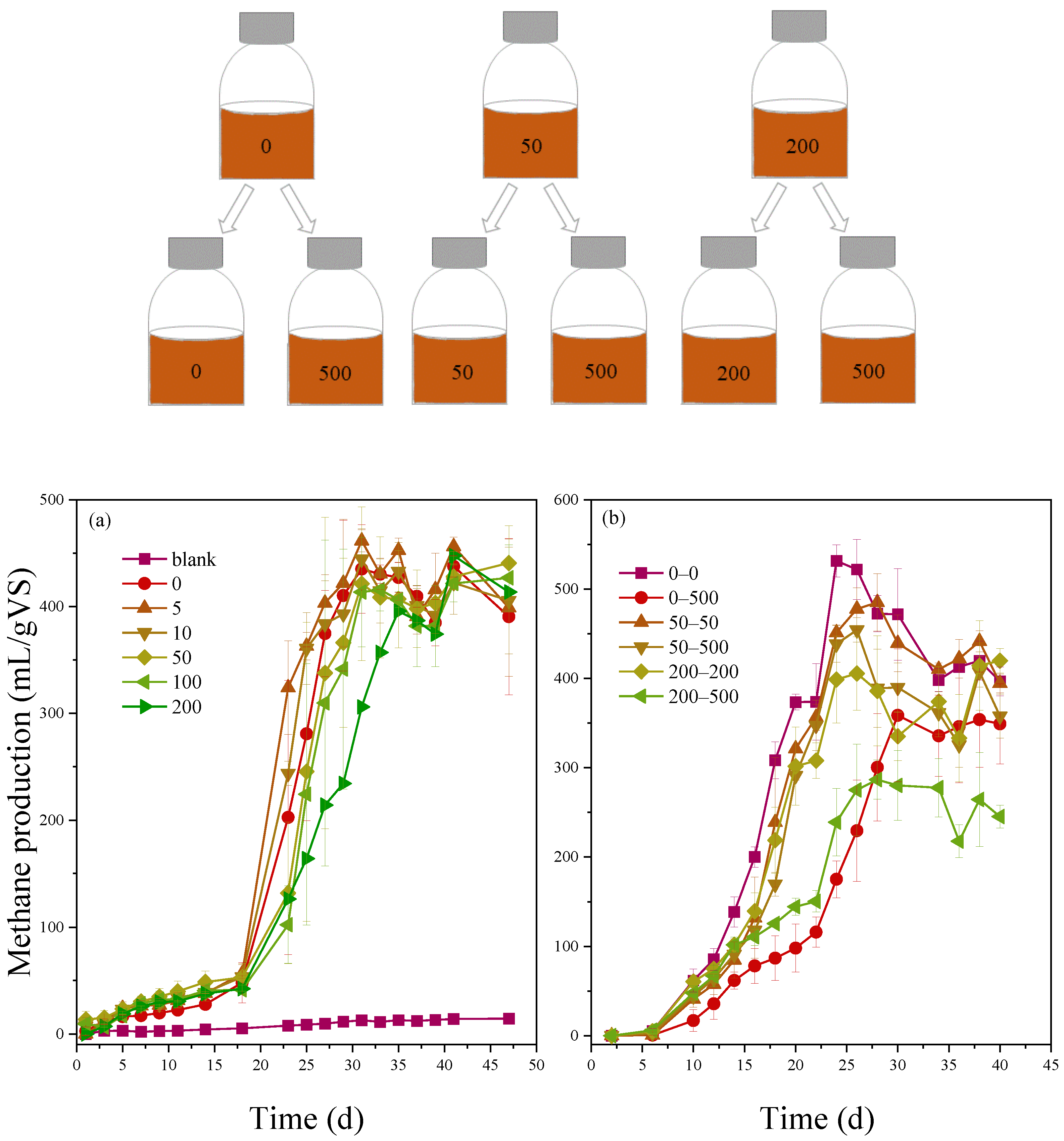 Molecules 29 03489 g001