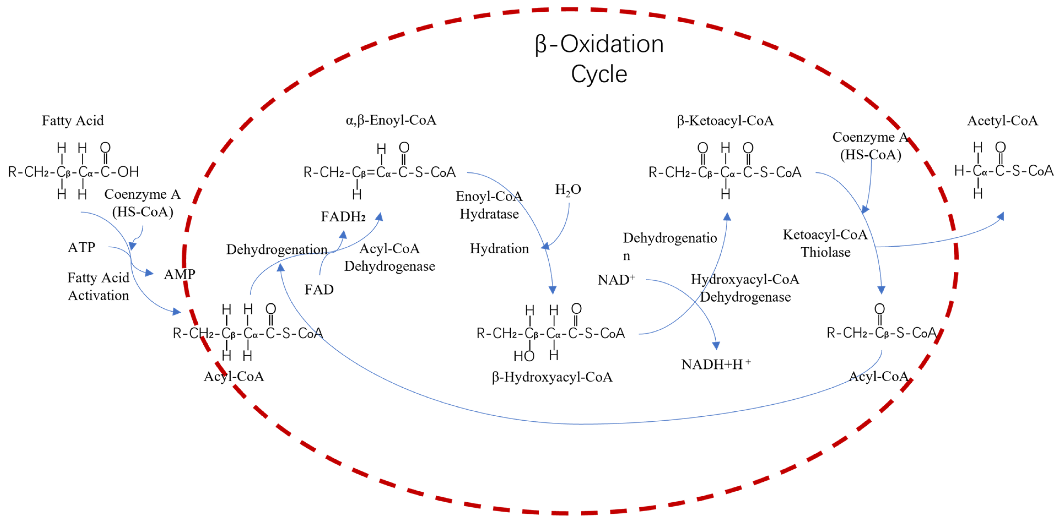 Molecules 29 03494 g004