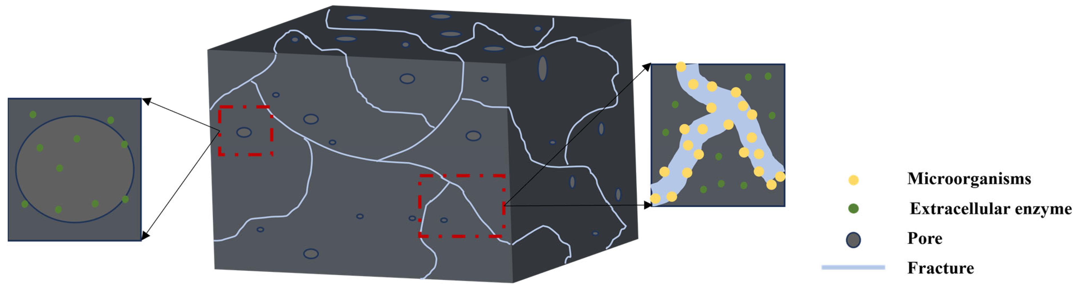 Molecules 29 03494 g005