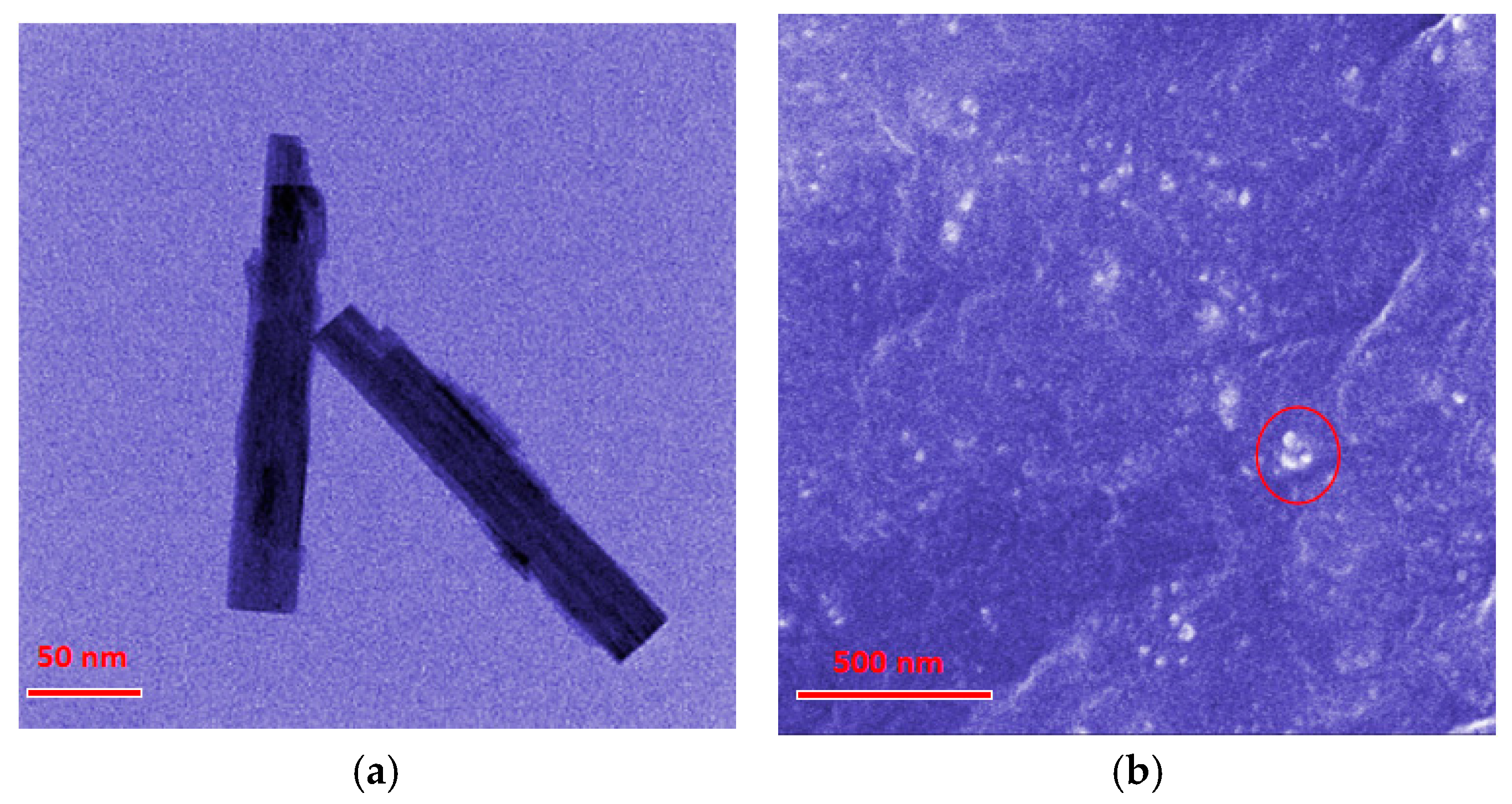 Molecules 29 03499 g001