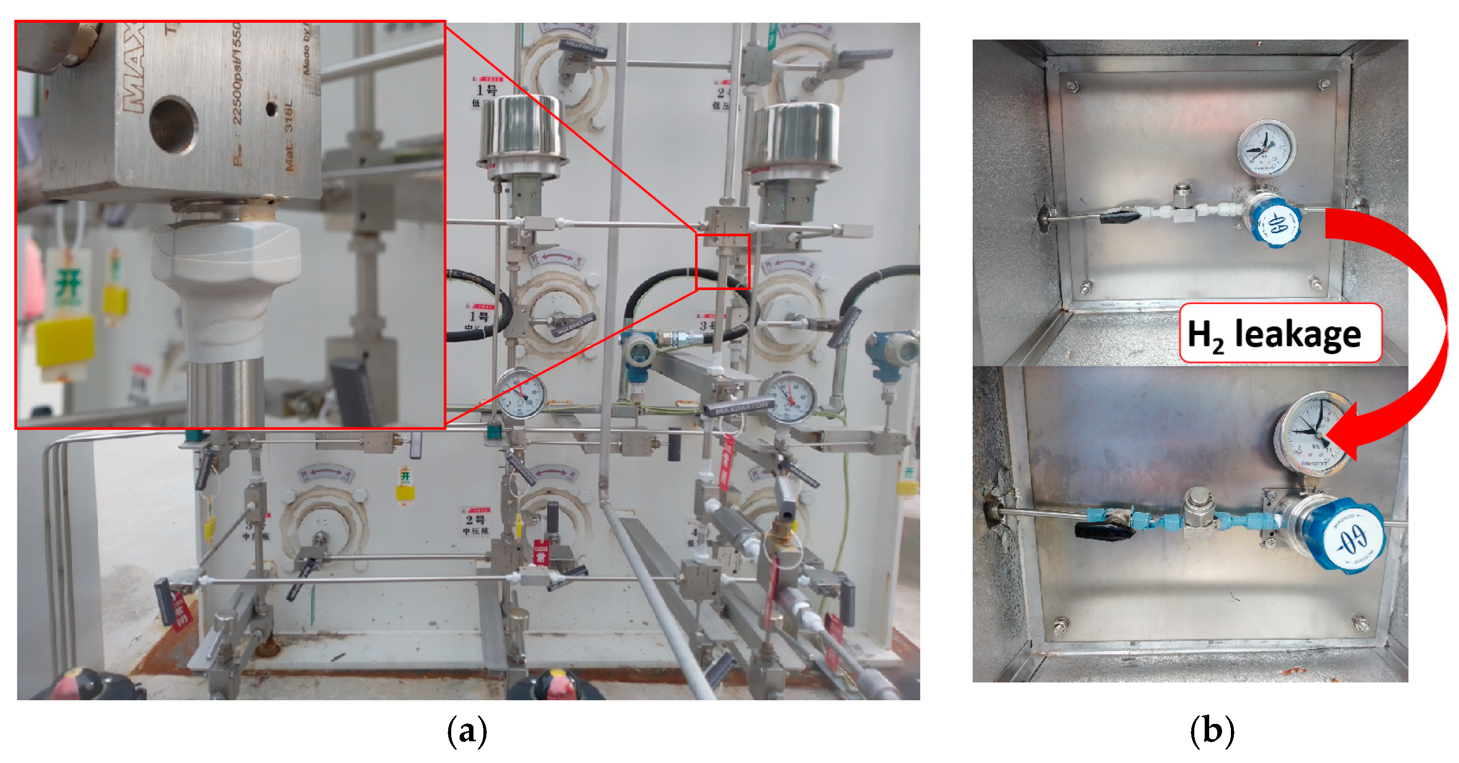 Molecules 29 03499 g009