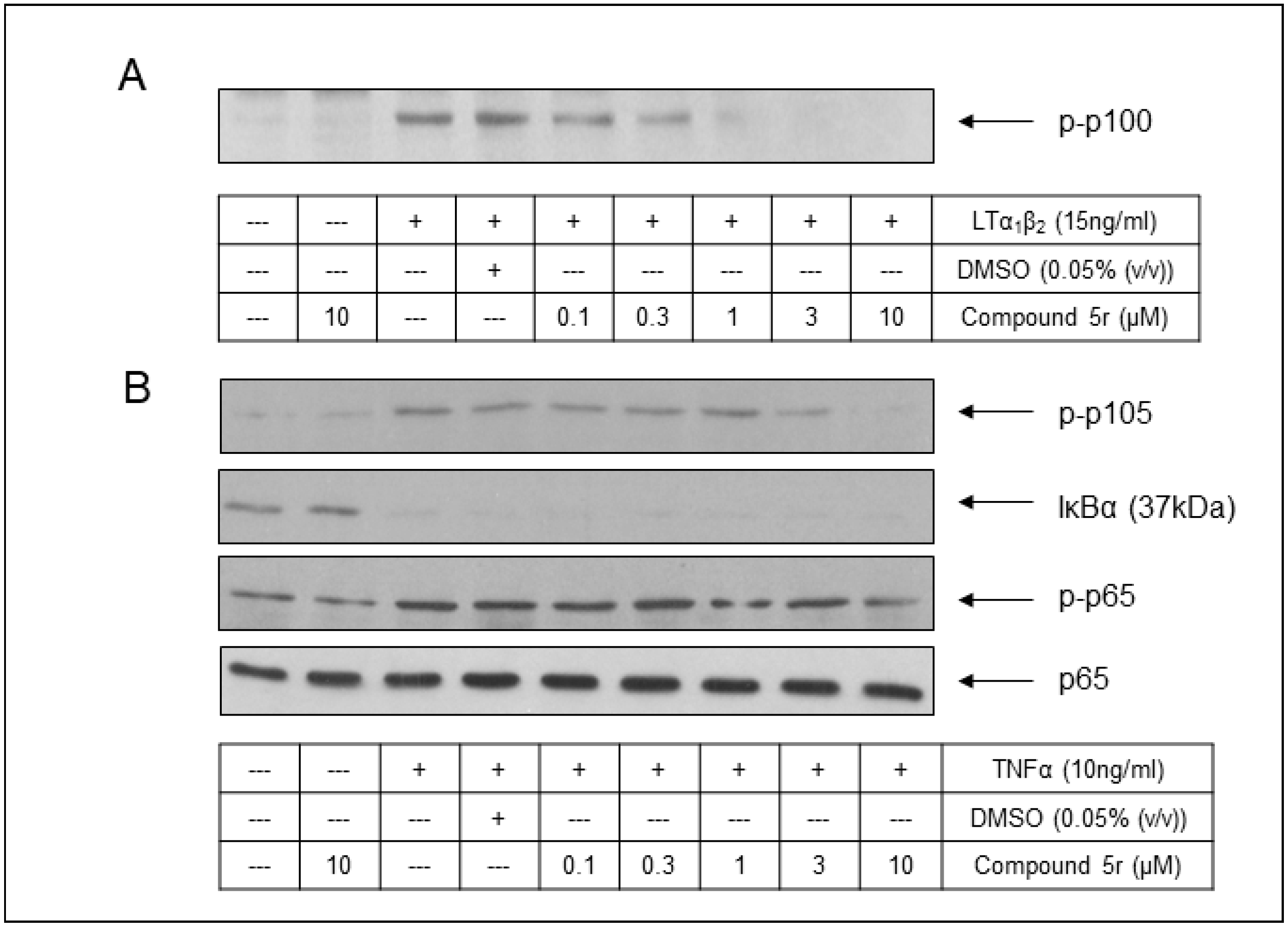 Molecules 29 03515 g014