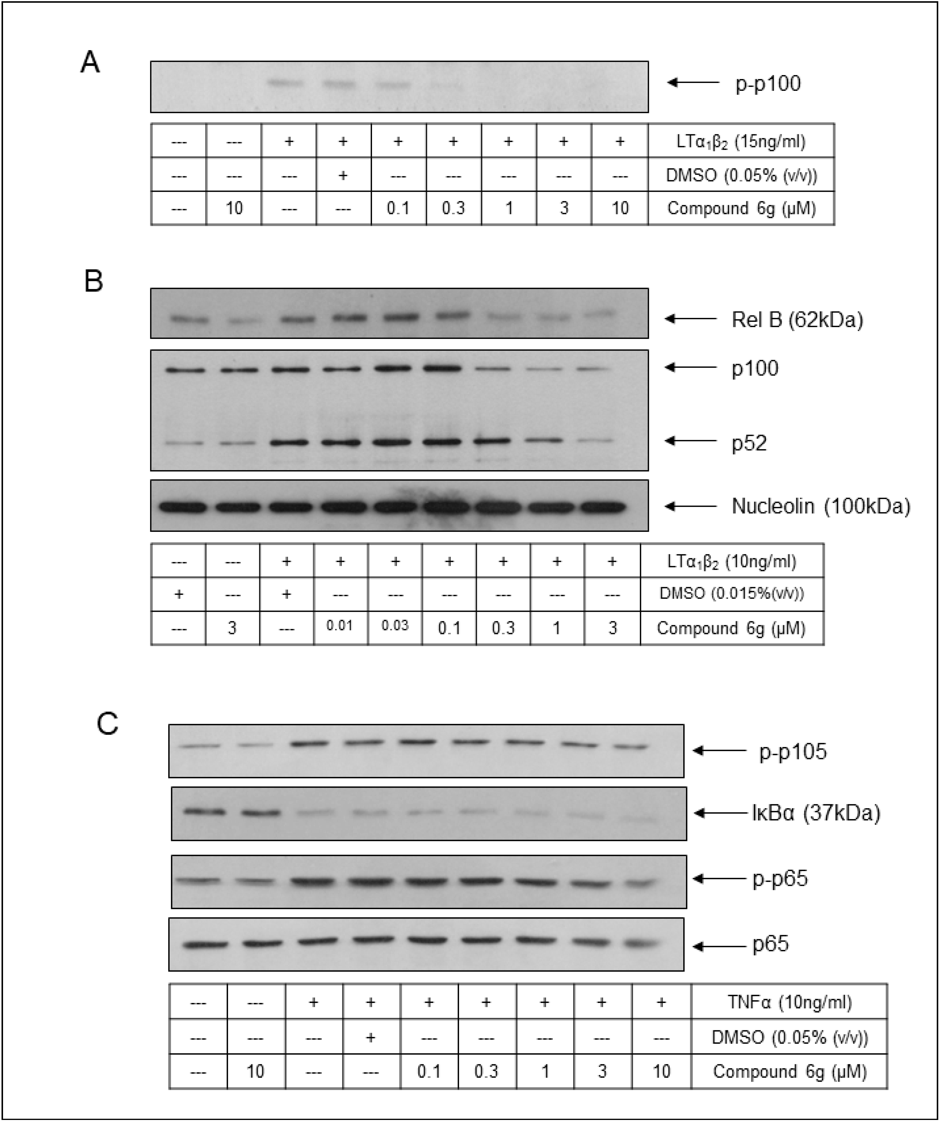 Molecules 29 03515 g015