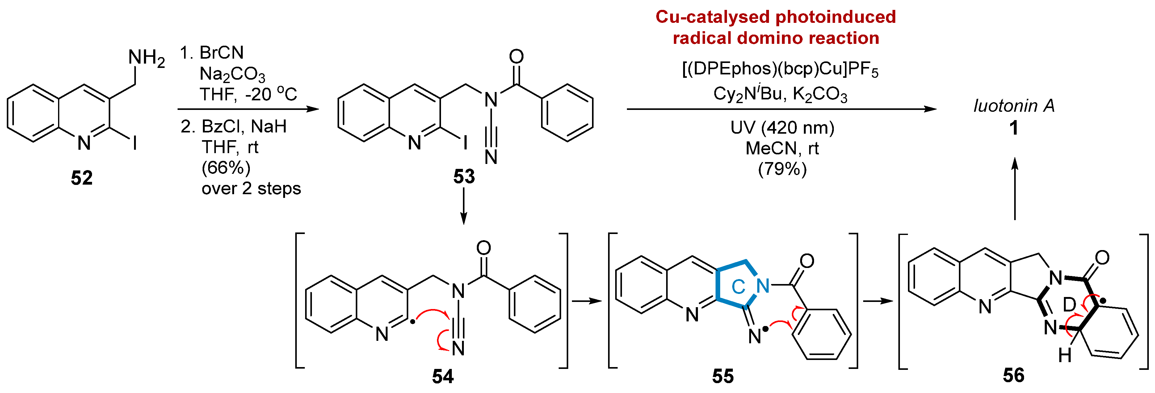 Molecules 29 03522 sch018 Molecules 29 03522 sch018