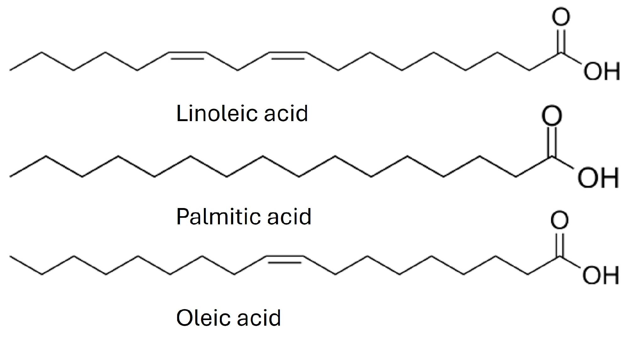 Molecules 29 03525 g003