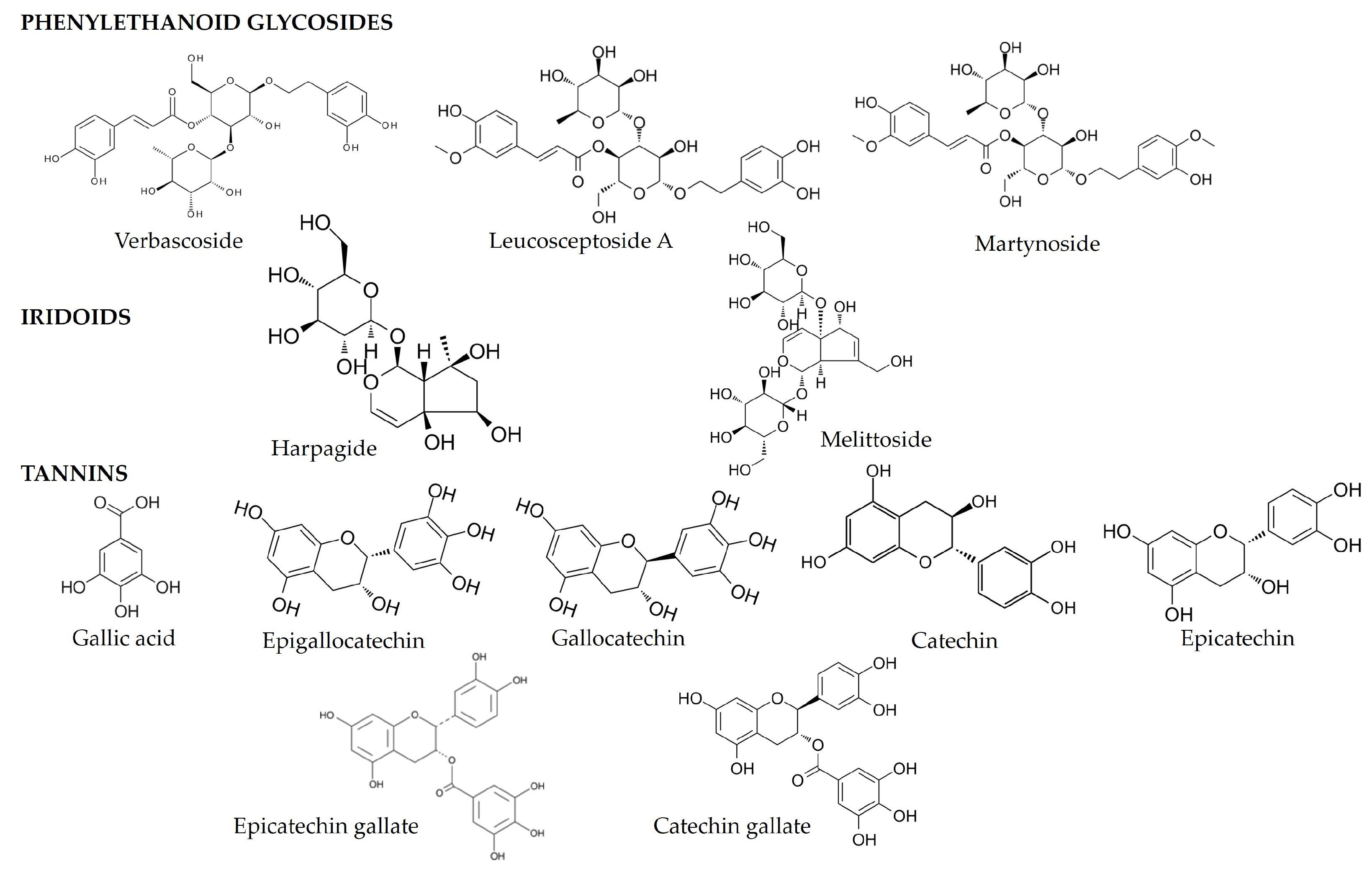 Molecules 29 03525 g004