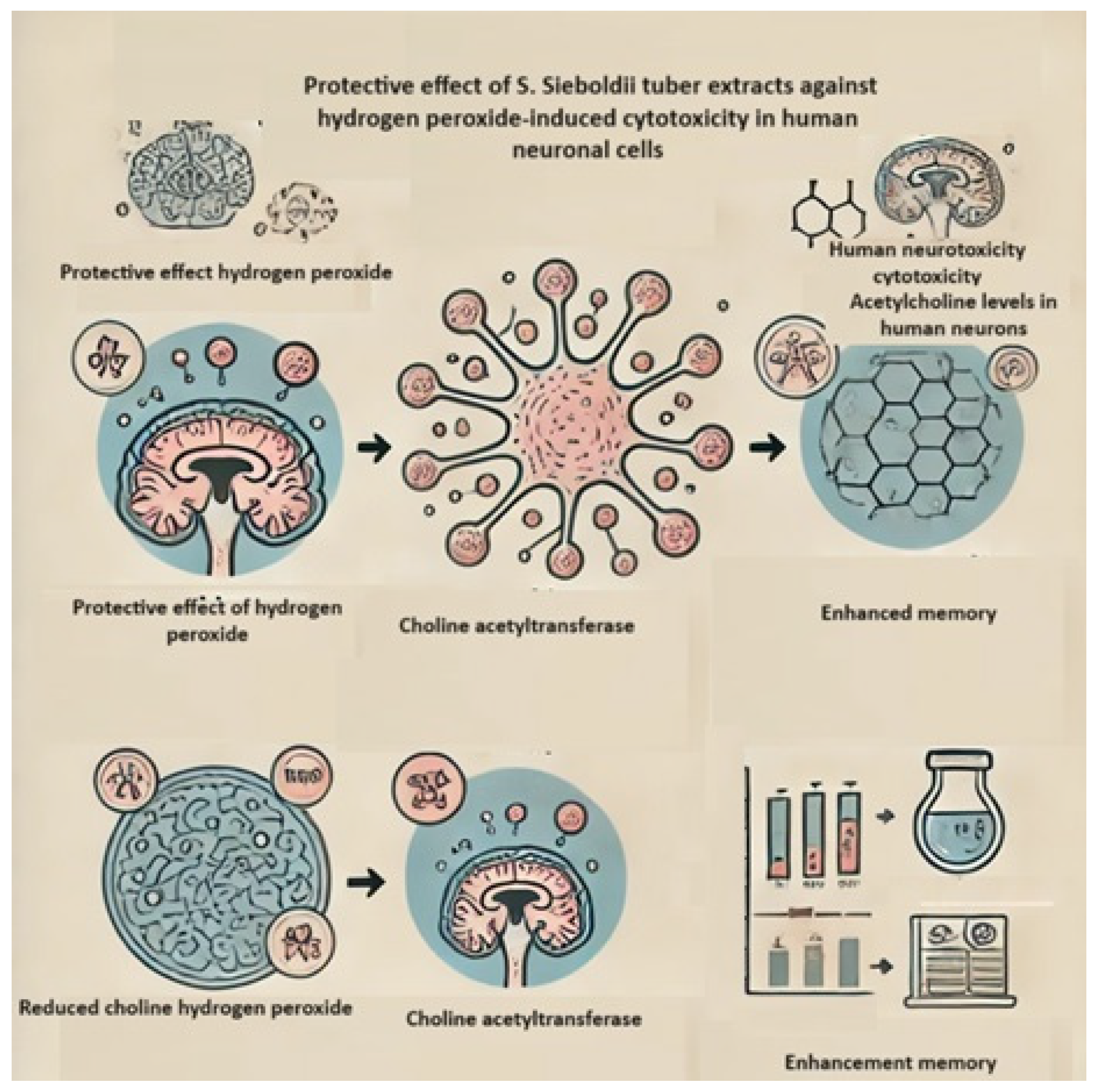 Molecules 29 03525 g007