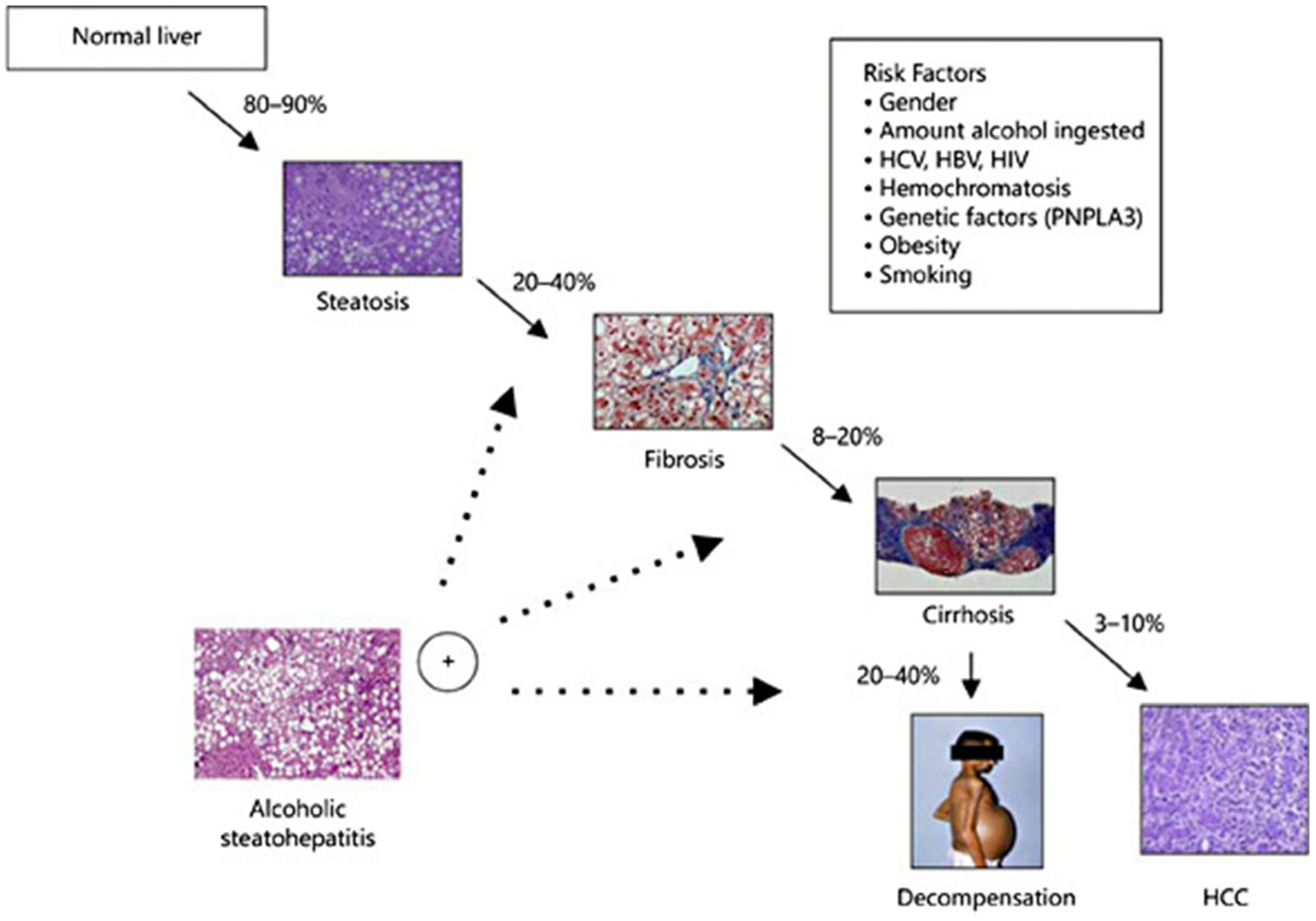 Molecules 29 03537 g002