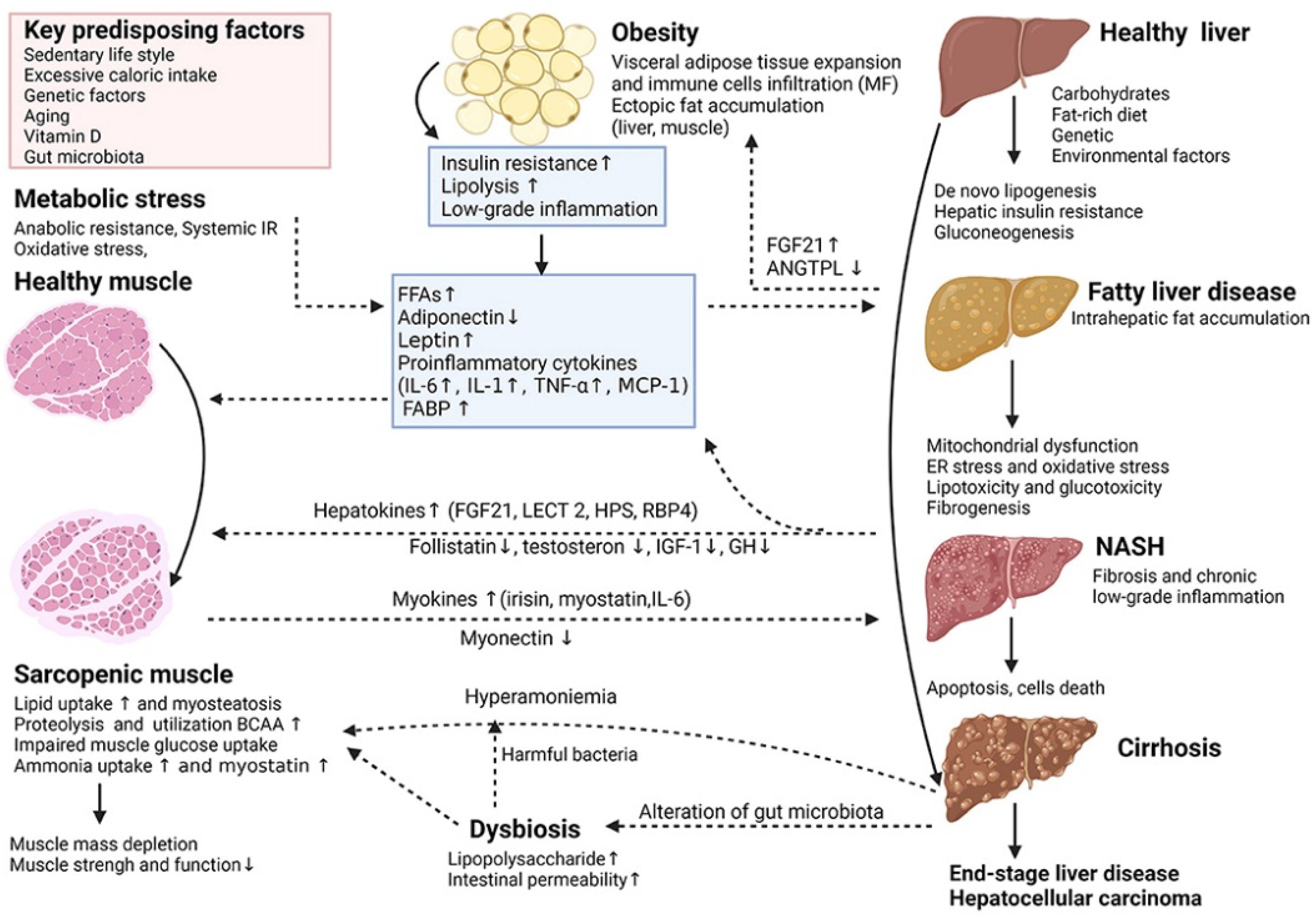 Molecules 29 03537 g004