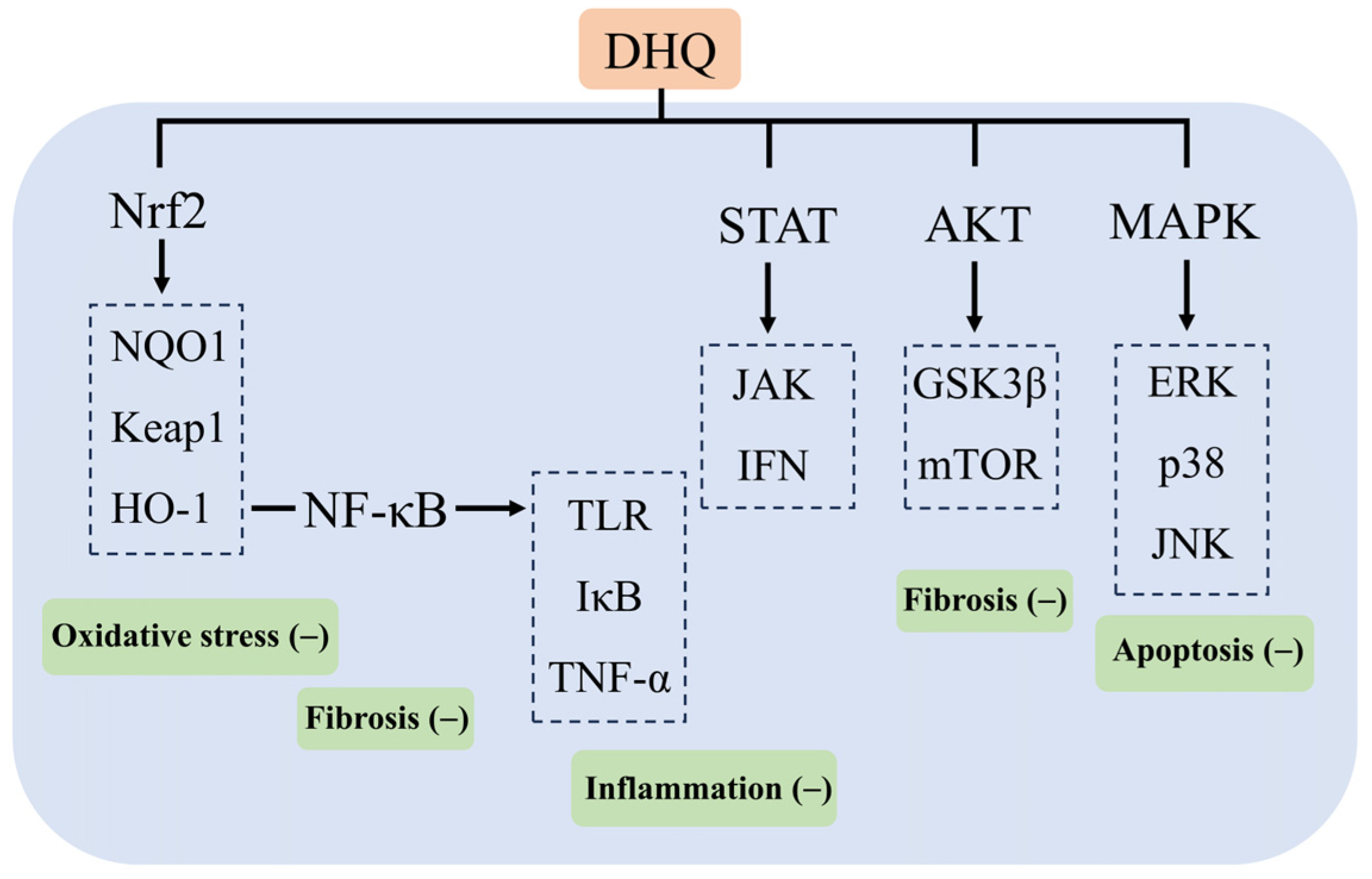 Molecules 29 03537 g006