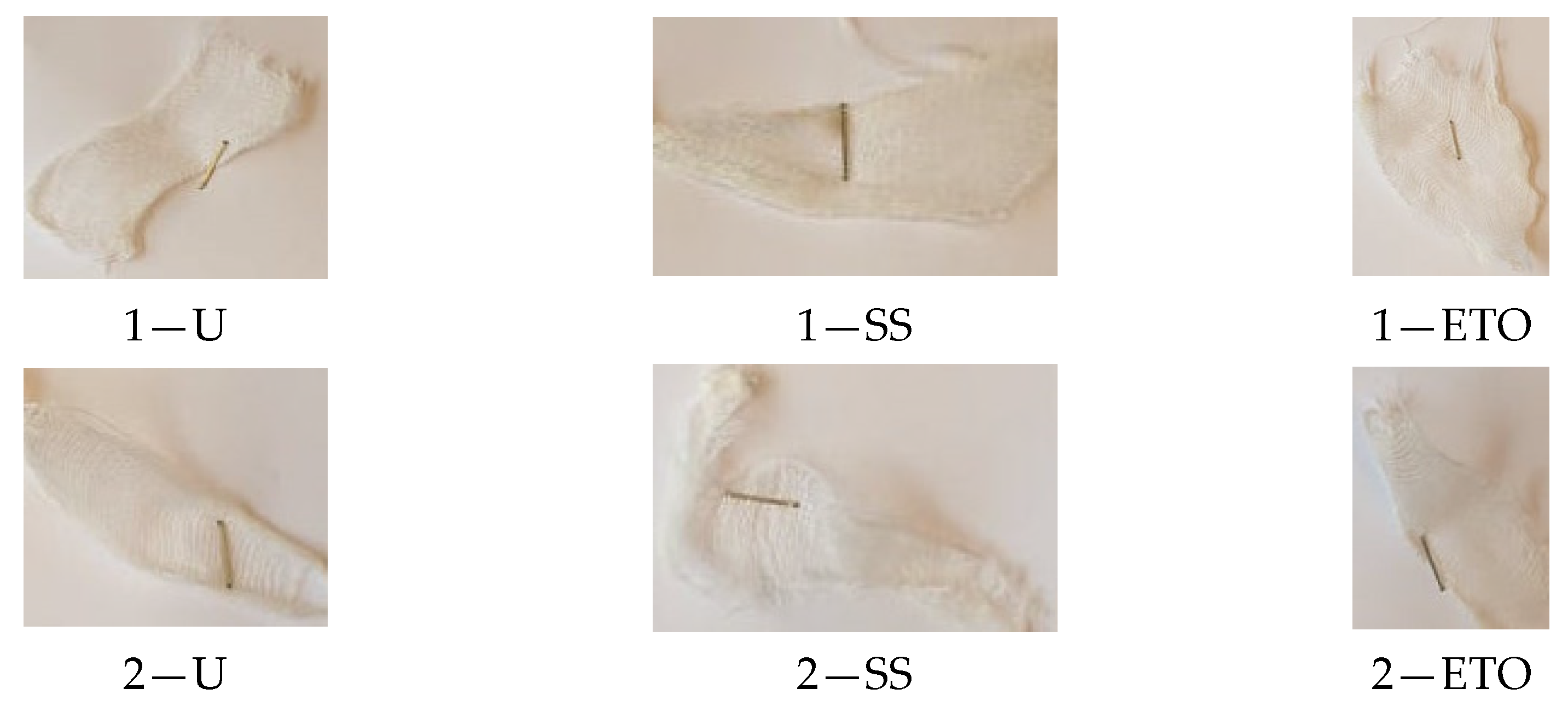 Molecules 29 03541 g008