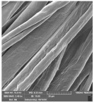 Molecules 29 03541 i001