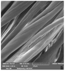 Molecules 29 03541 i003