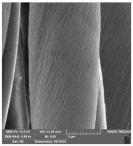 Molecules 29 03541 i008