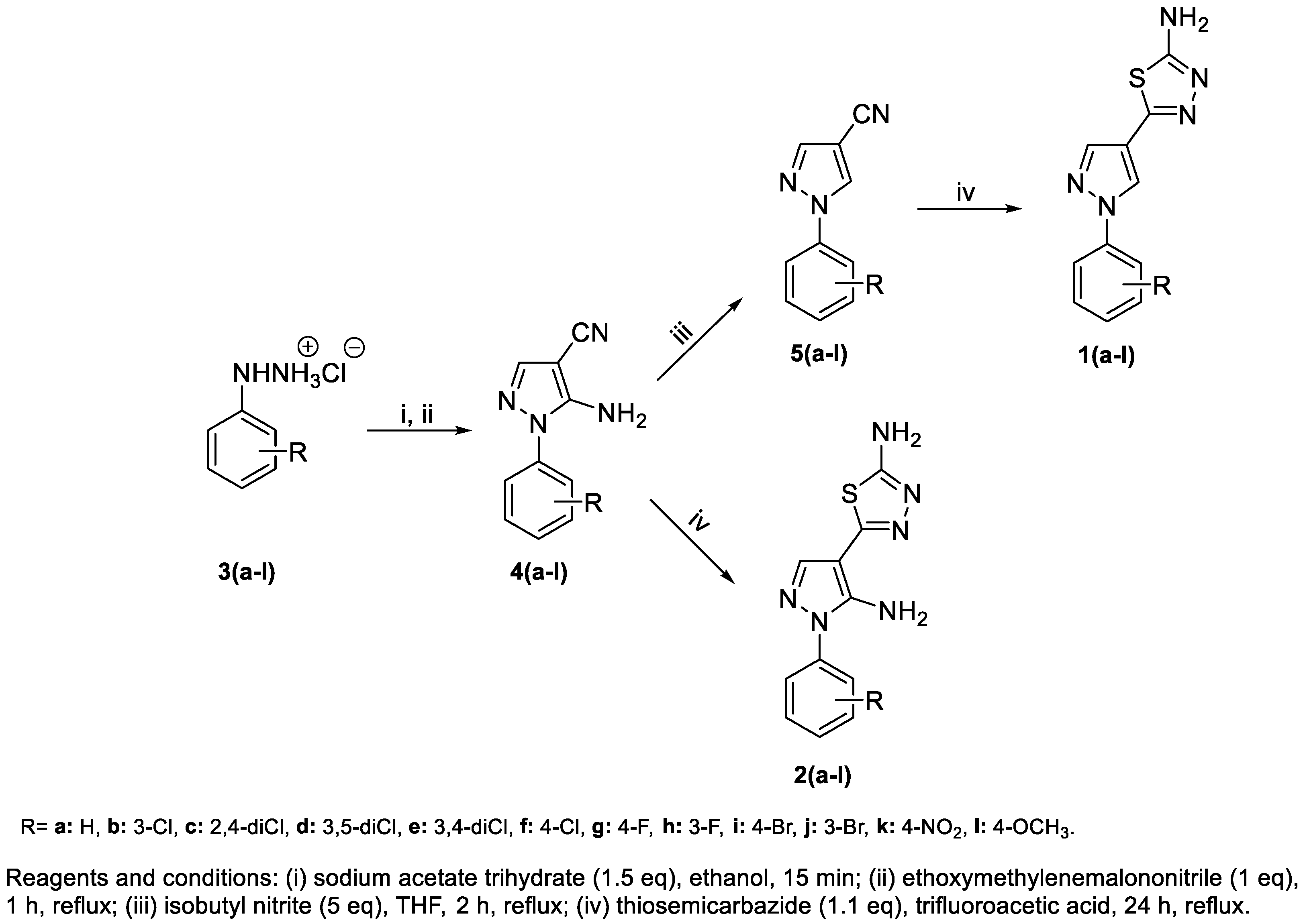 Molecules 29 03544 sch001