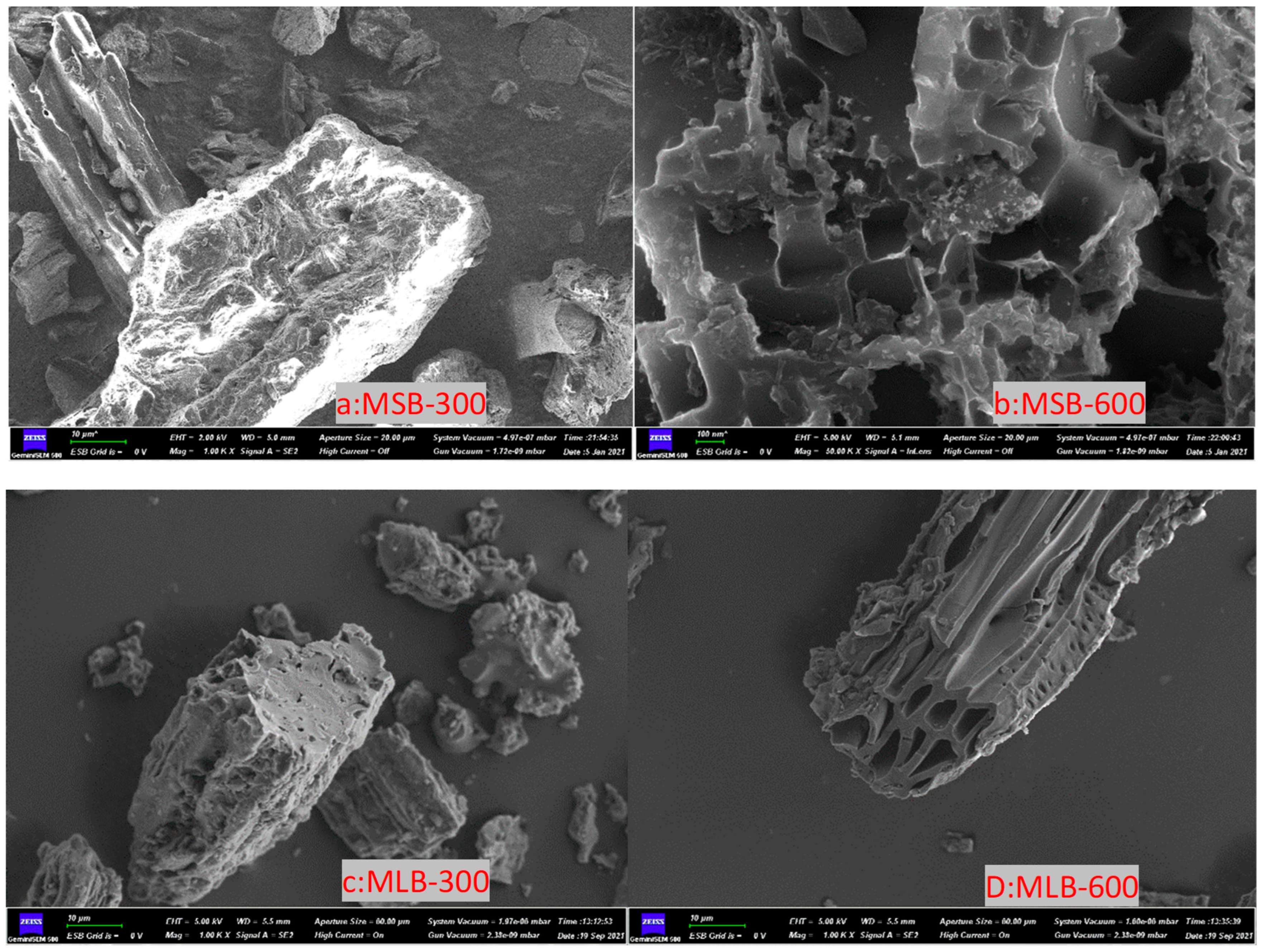 Molecules 29 03545 g001