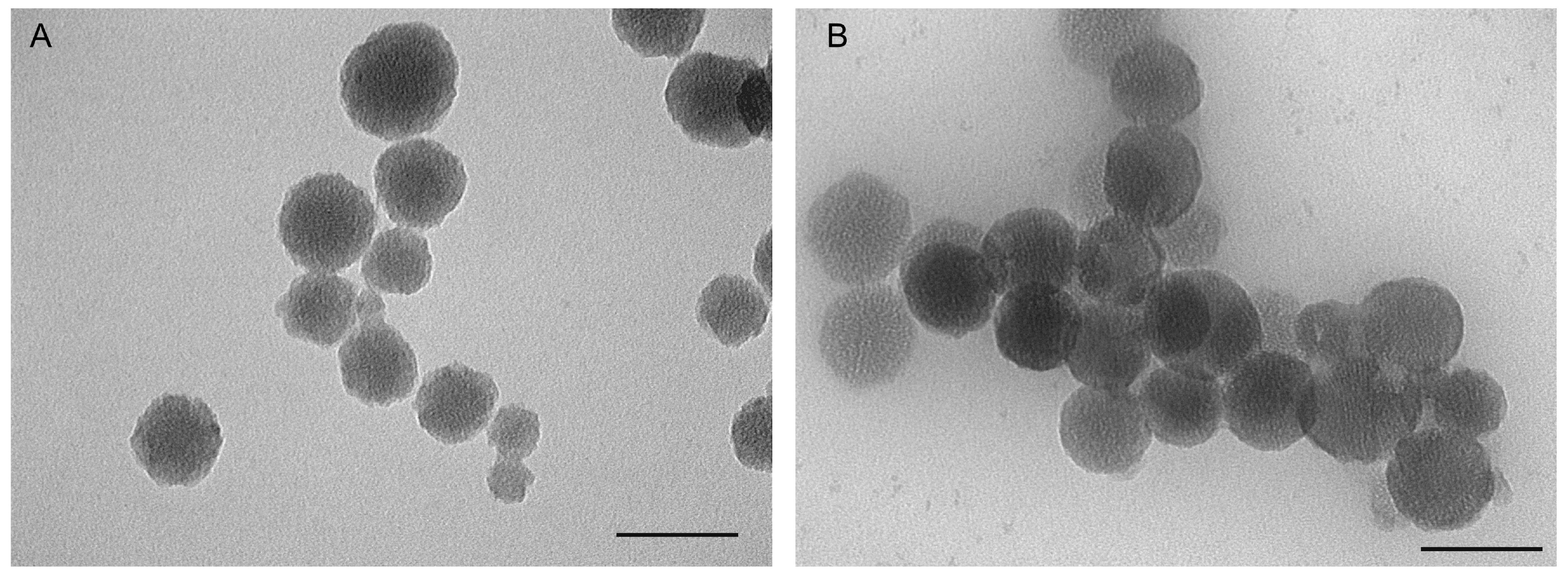Molecules 29 03546 g001