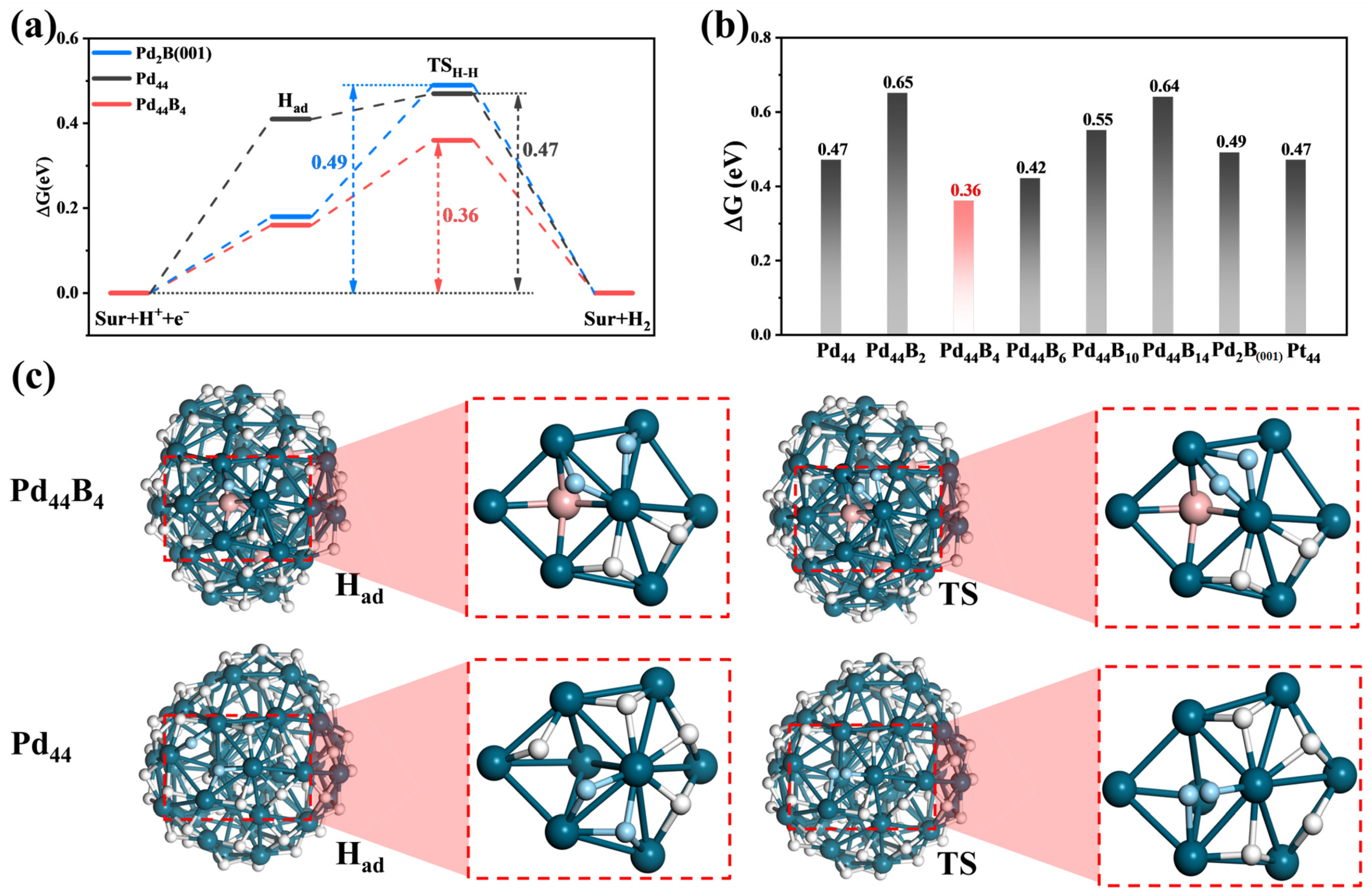 Molecules 29 03549 g004