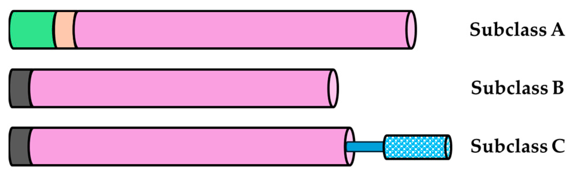 Molecules 29 03556 g001