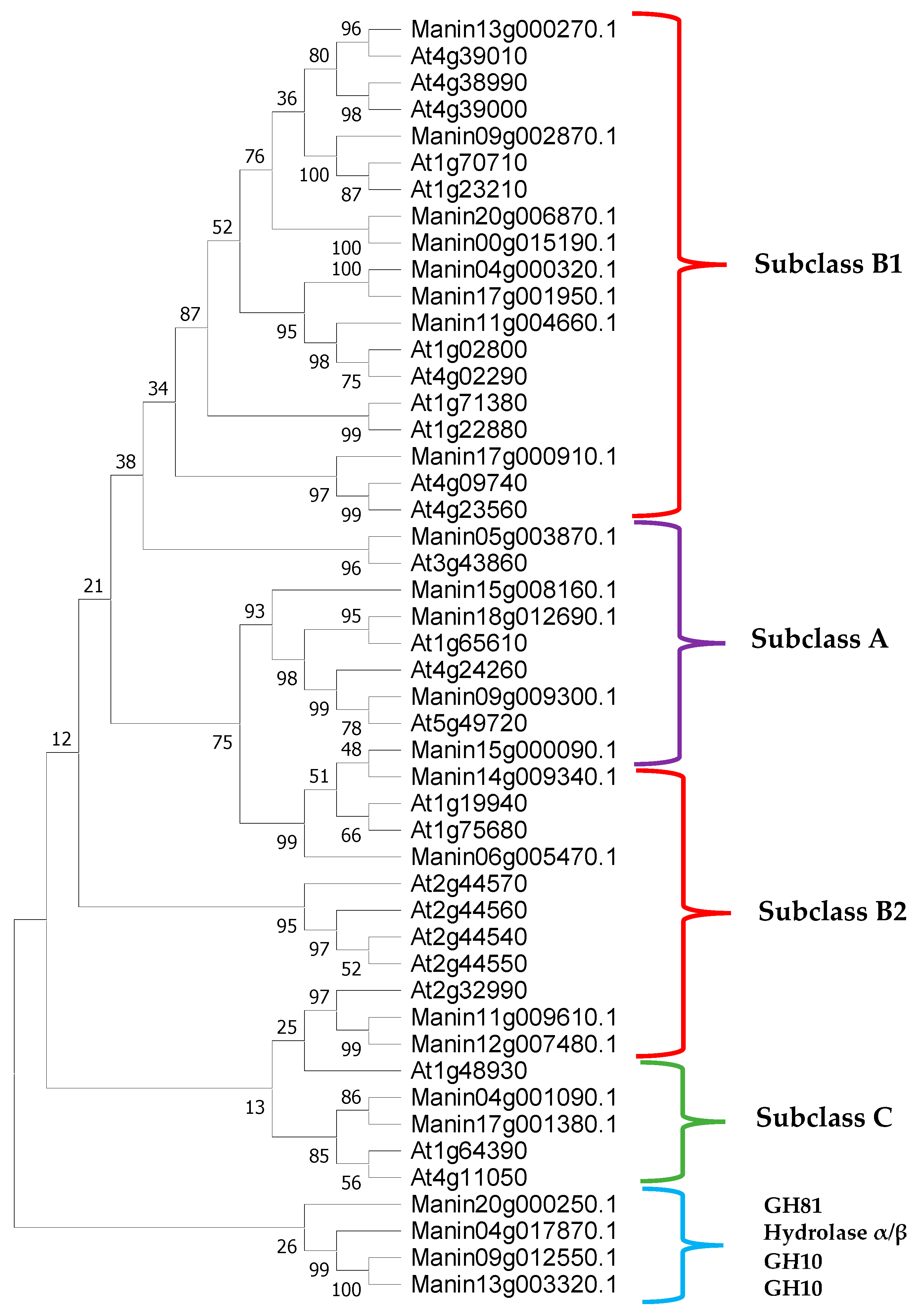 Molecules 29 03556 g002