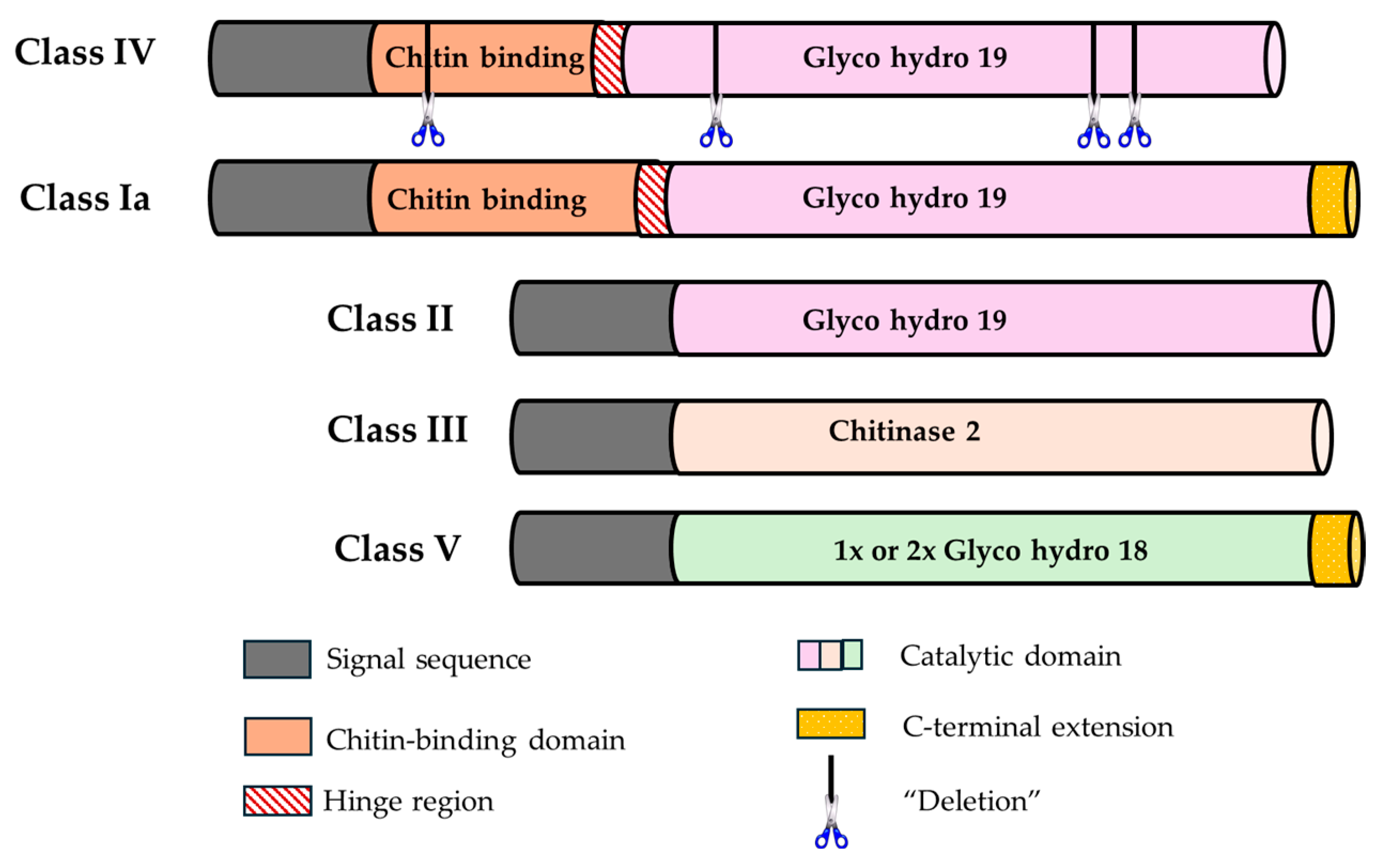 Molecules 29 03556 g003