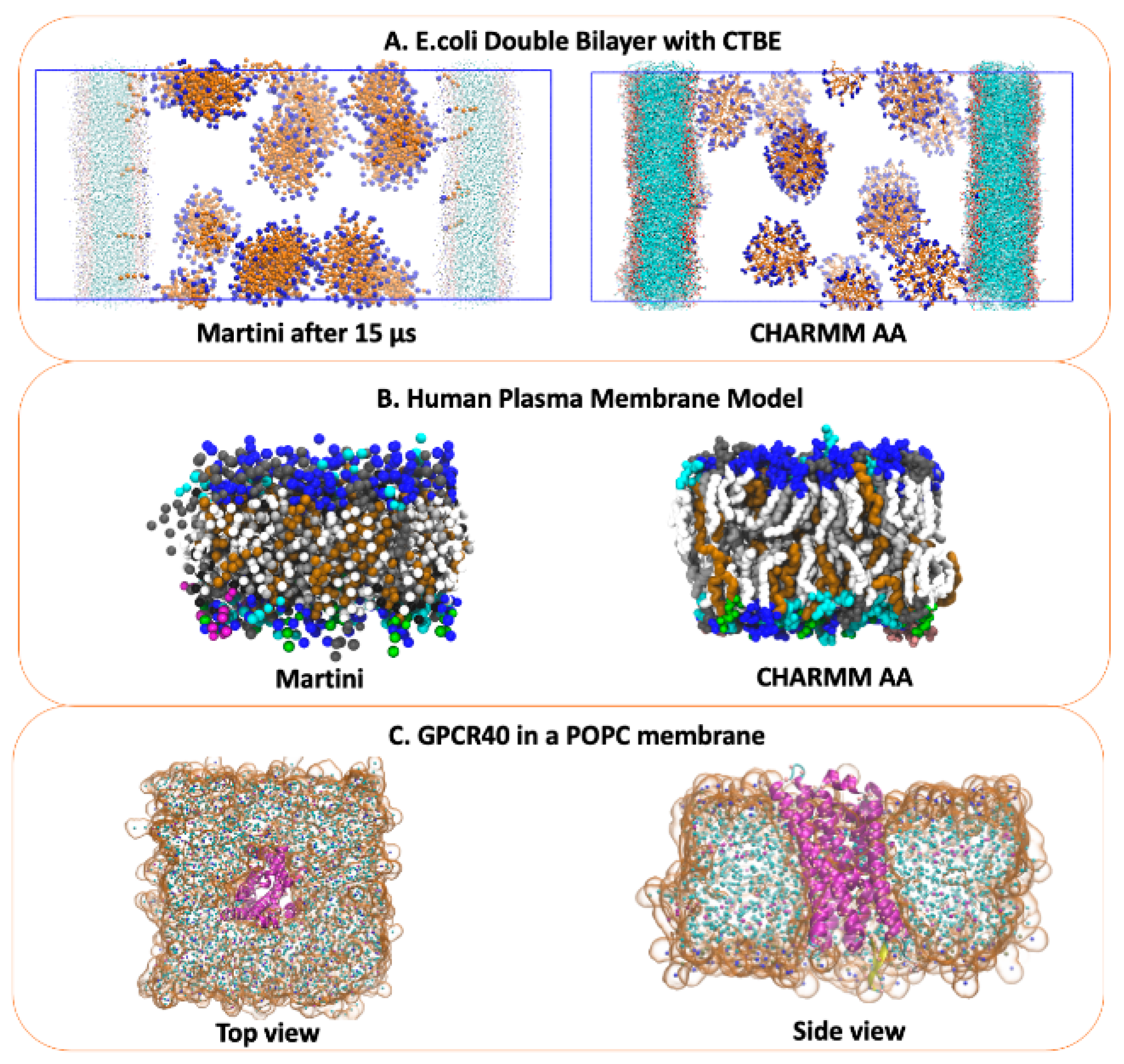 Molecules 29 03557 g004