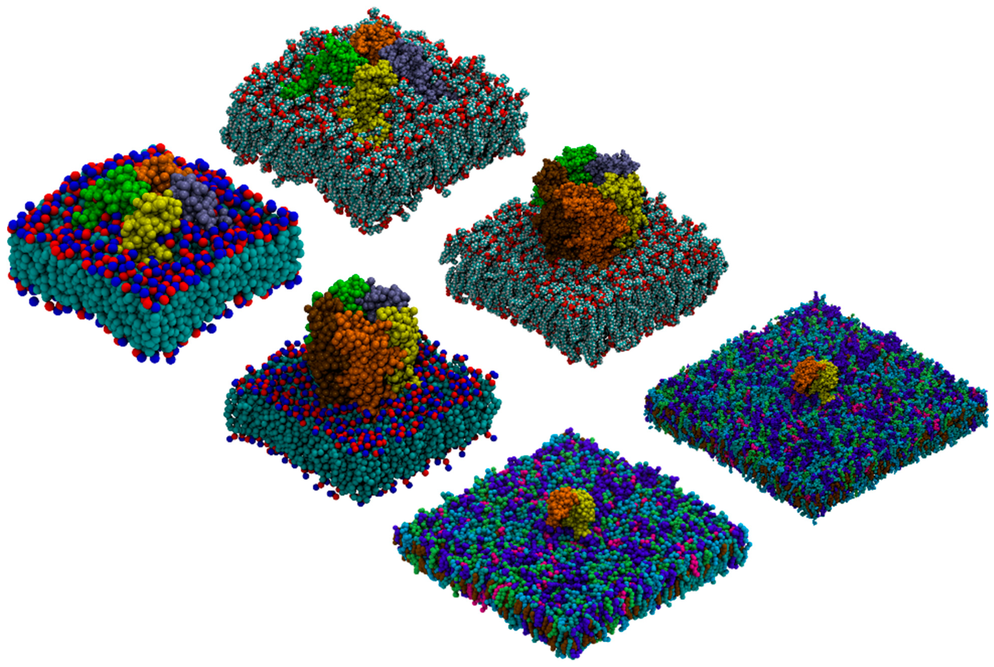 Molecules 29 03557 g005