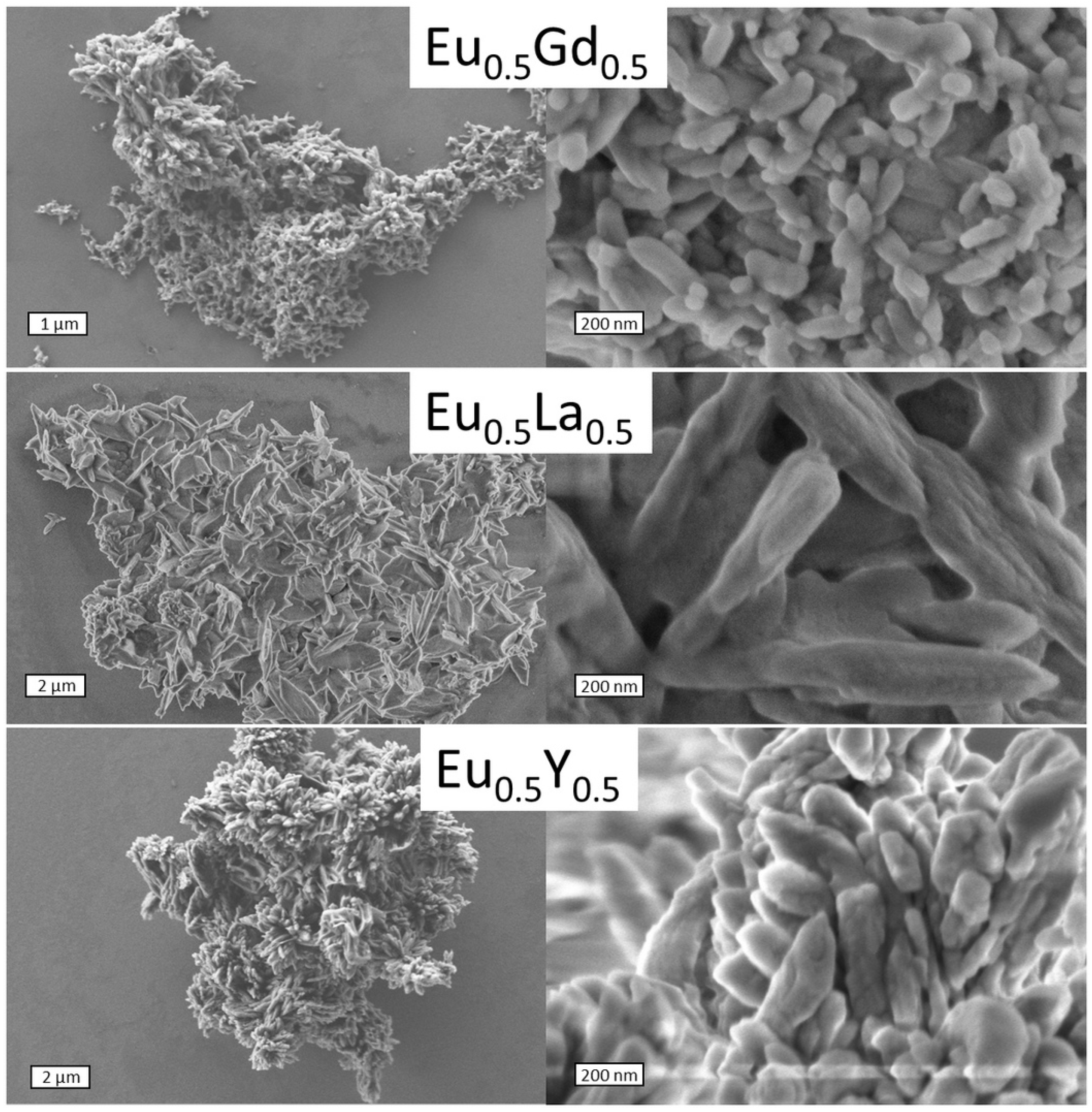 Molecules 29 03558 g003