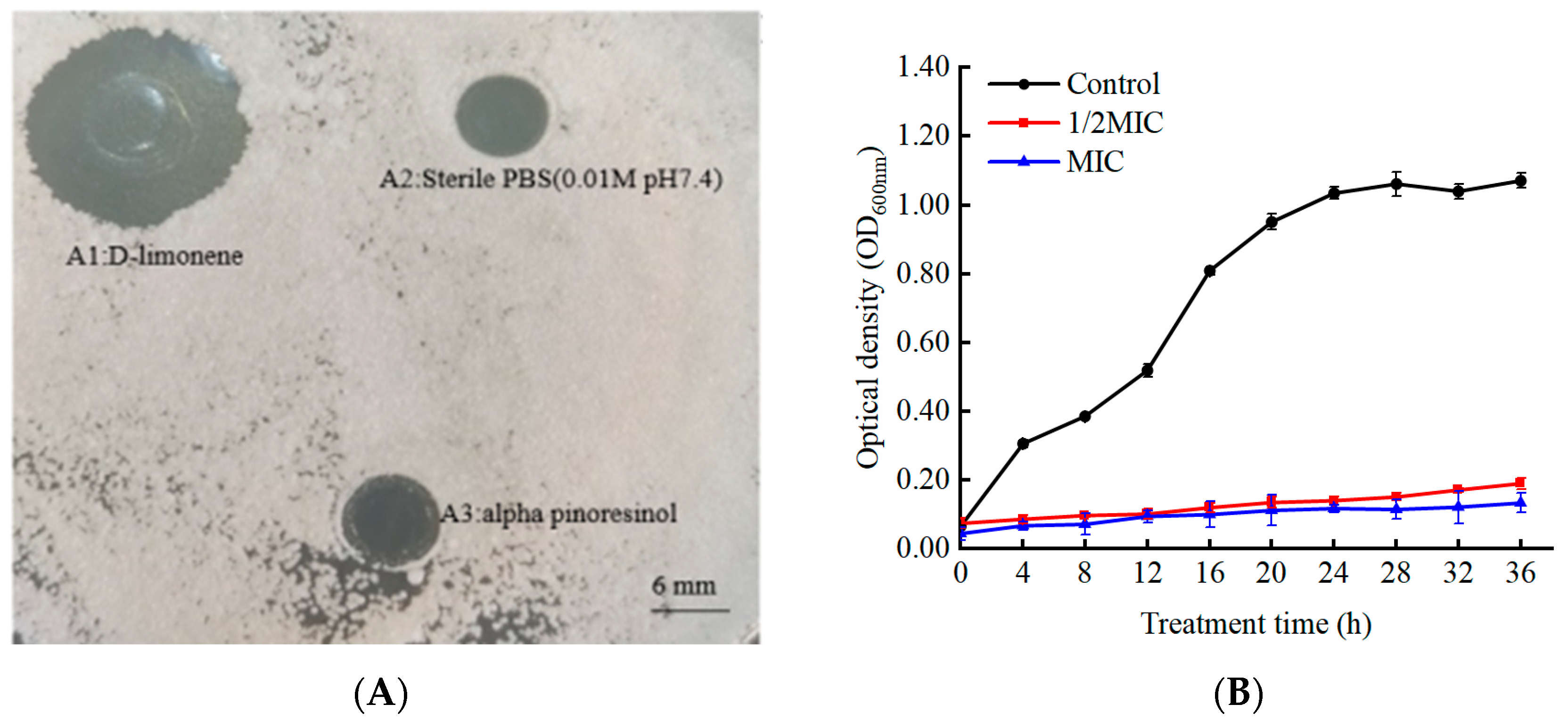 Molecules 29 03561 g001