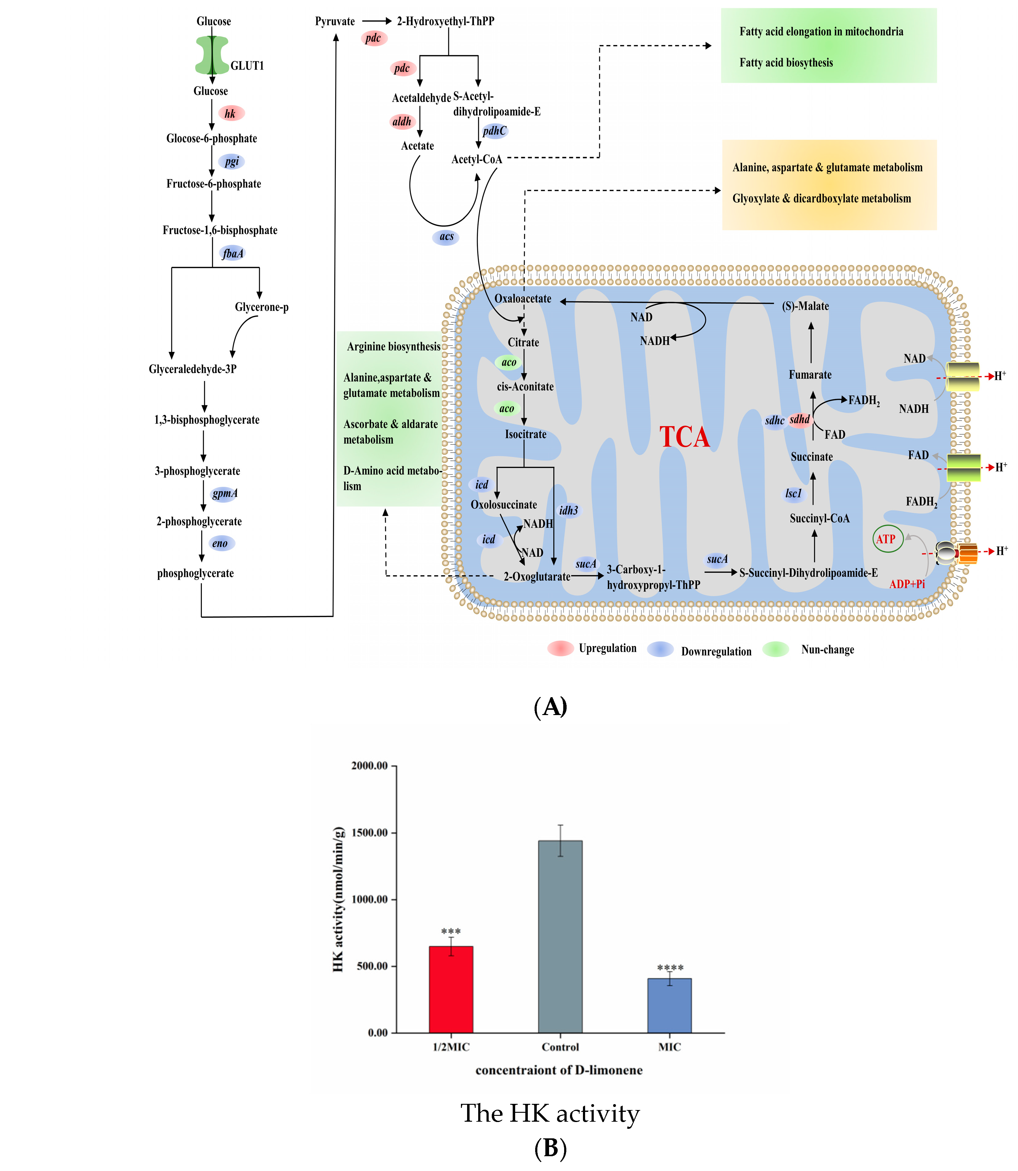 Molecules 29 03561 g004a