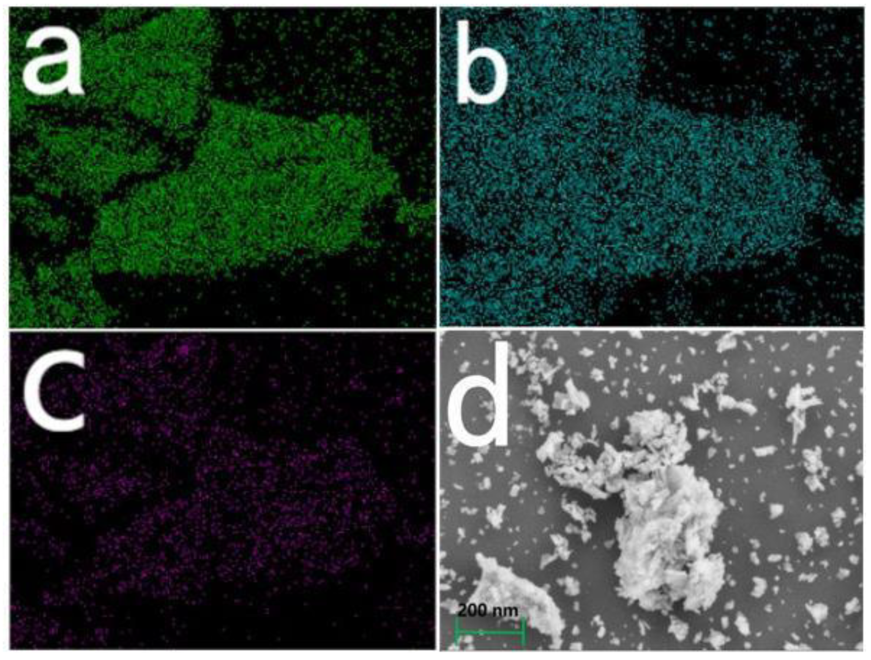 Molecules 29 03568 g002